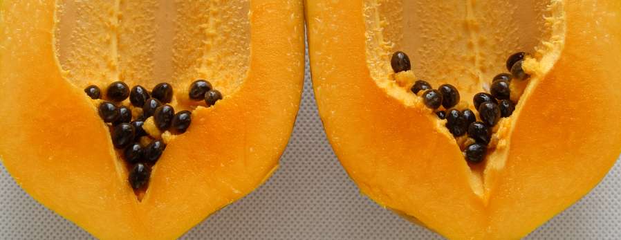 papaya_digestion