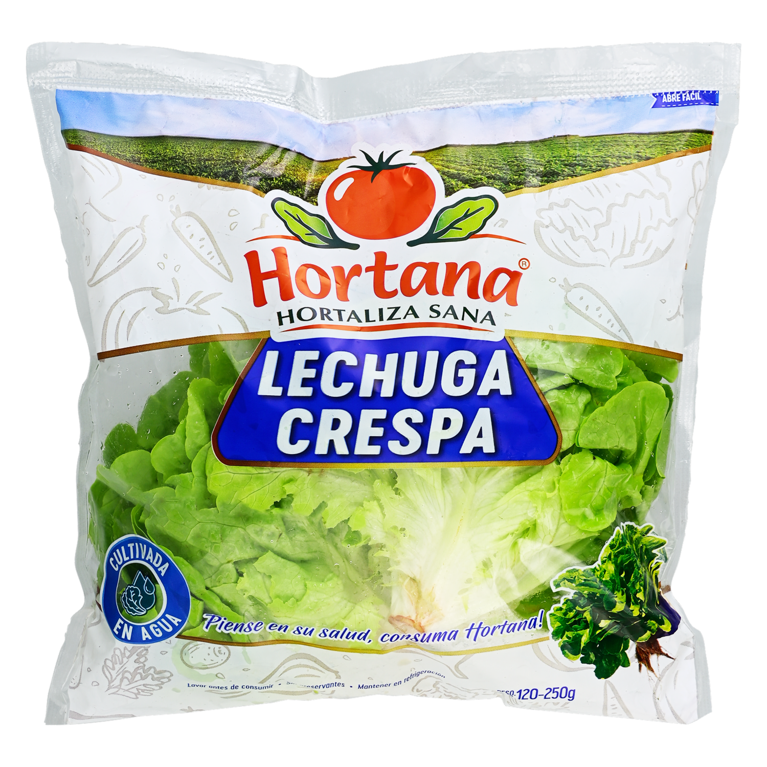 Lechuga Crespa Hidropónica HORTANA 120-250G