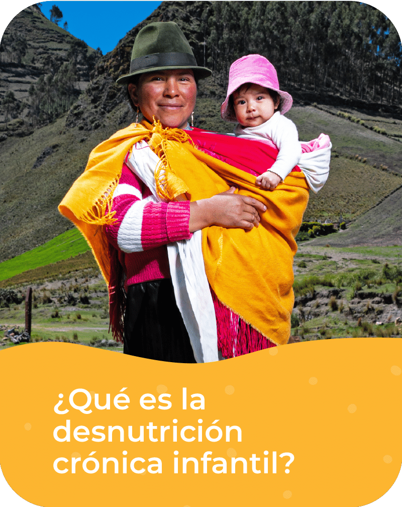 ¿Qué es la desnutrición crónica infantil?