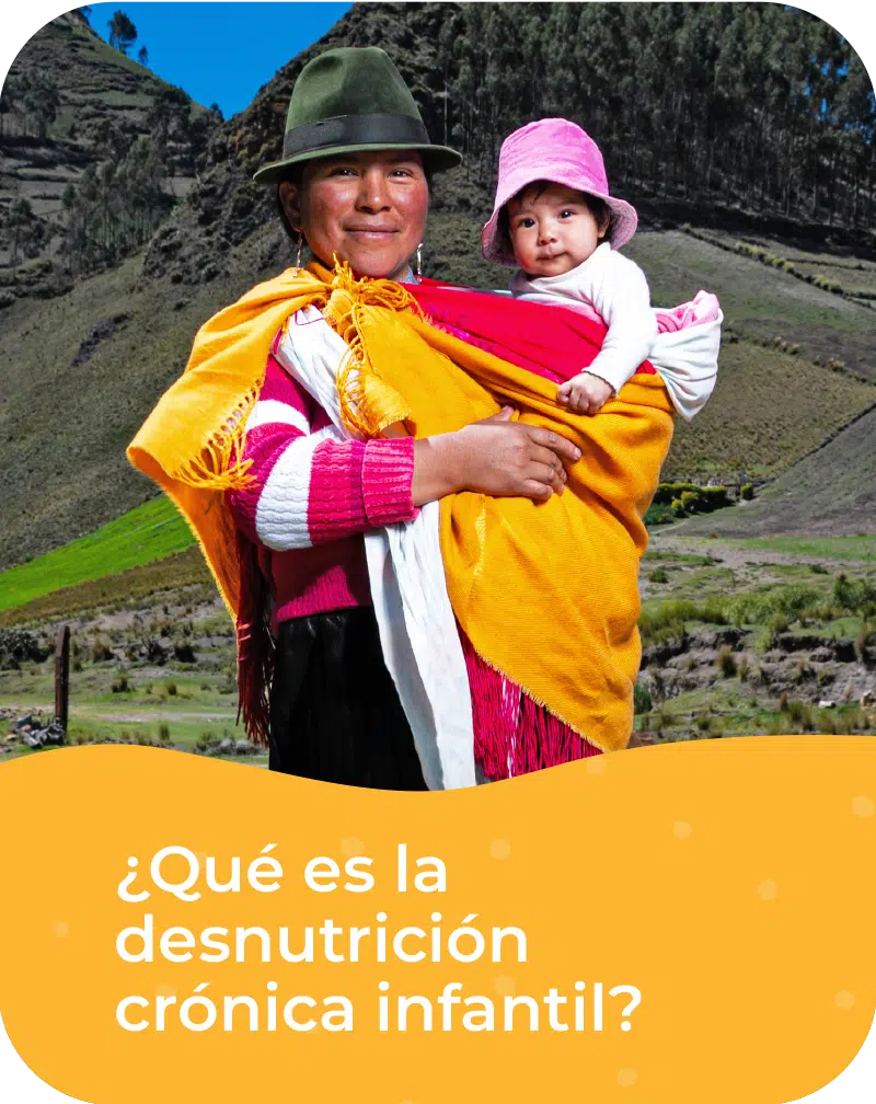 ¿Qué es la desnutrición crónica infantil?