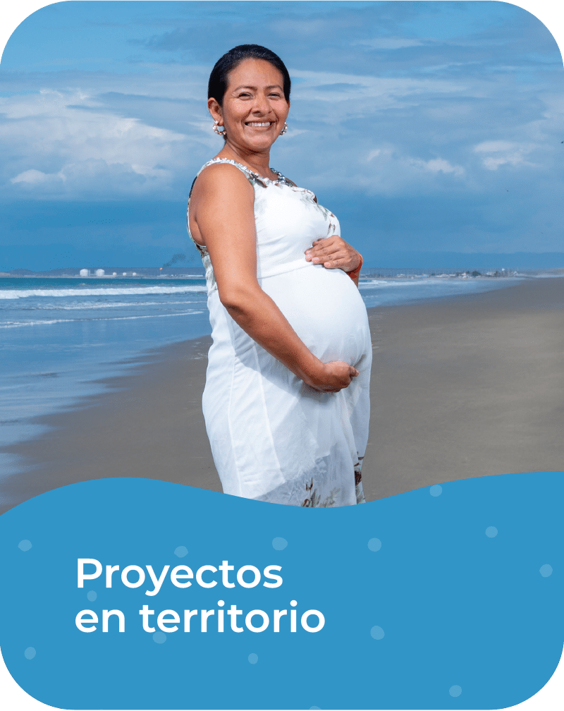 Proyectos en territorio