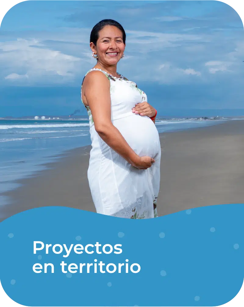 Proyectos en territorio