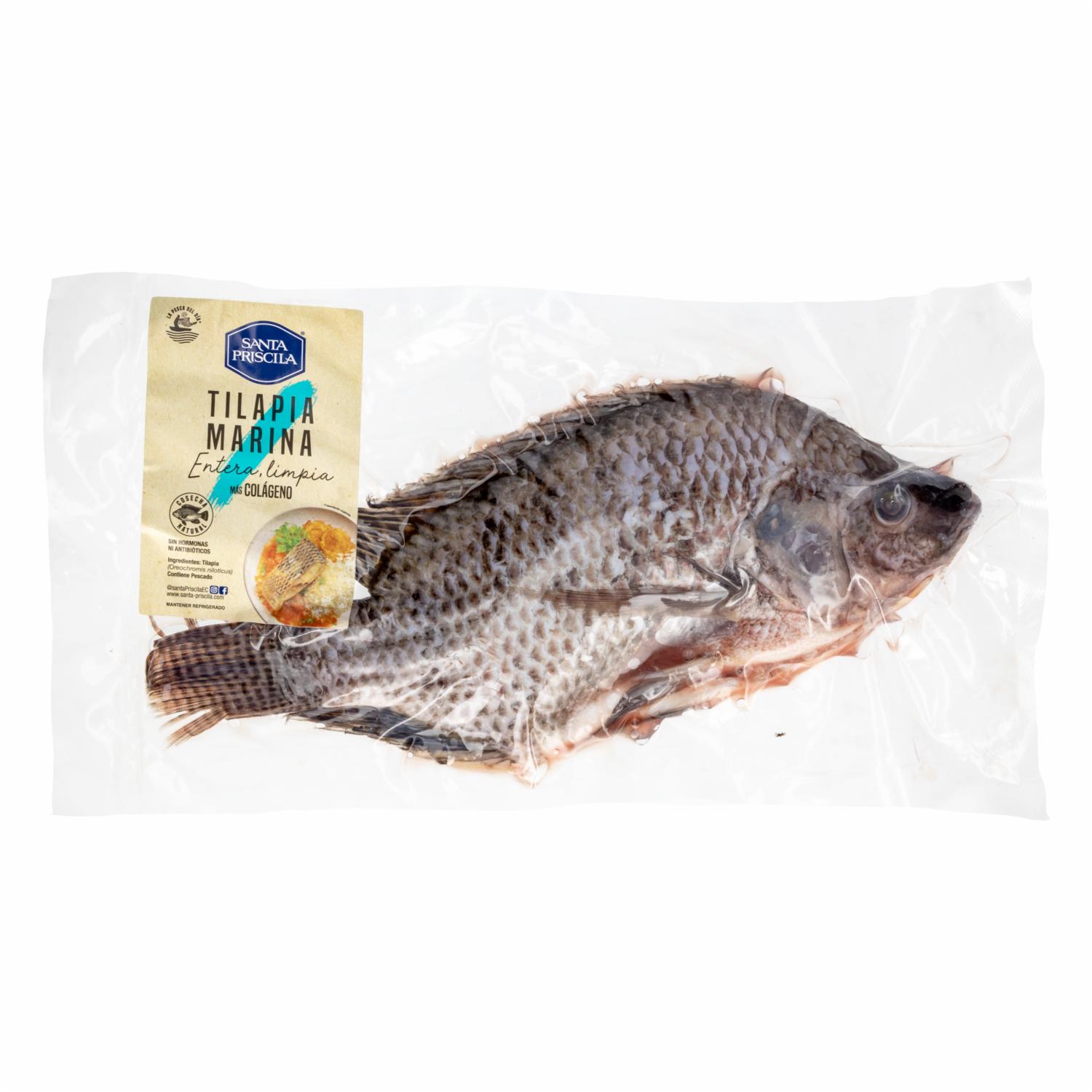 Tilapia Entera Termoformado SANTA PRISCILA 550 a 650 g