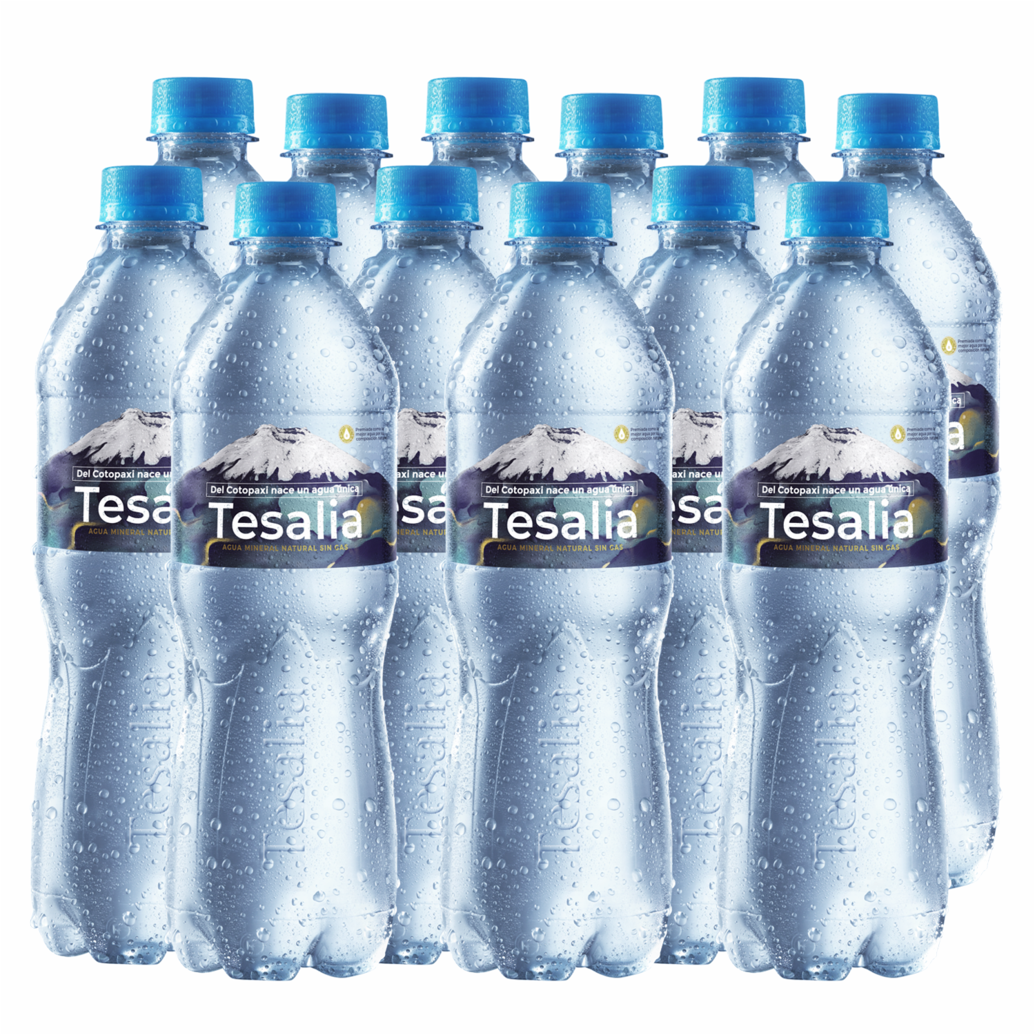 Agua Sin Gas TESALIA 12 X 625 Ml