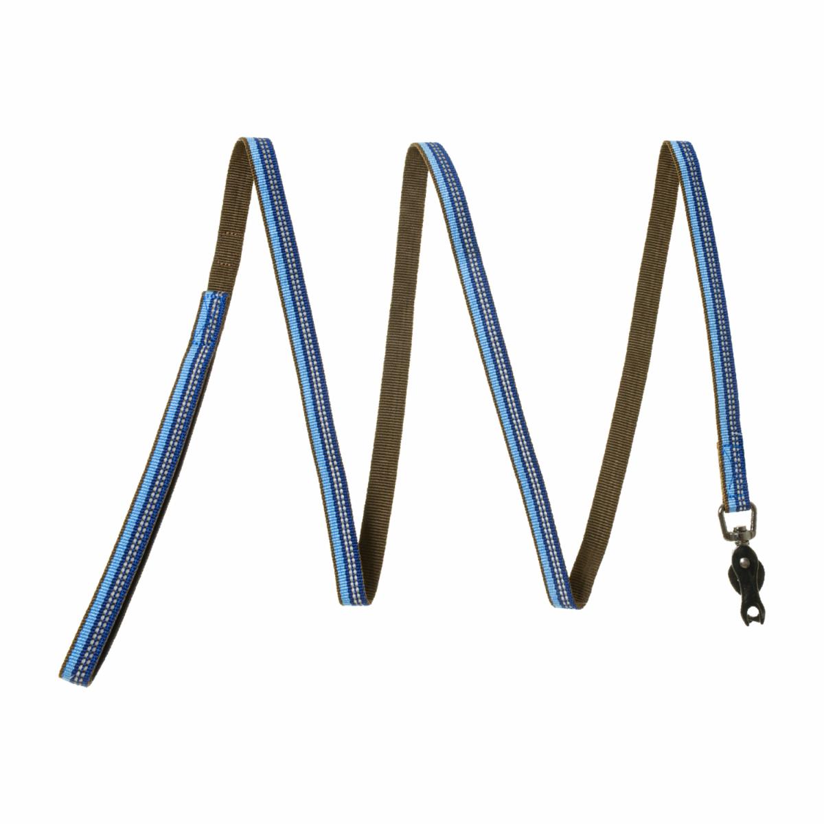 Correa Para Perro Con Broche Tijera Zafiro COASTAL 5/8″X6