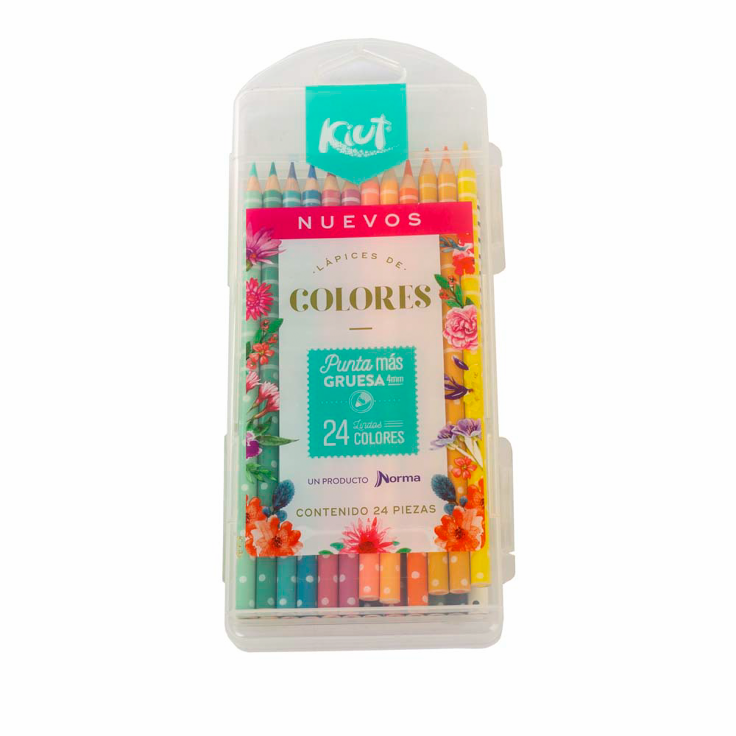 Lápices De Colores Punta Gruesa KIUT X 24 Uds