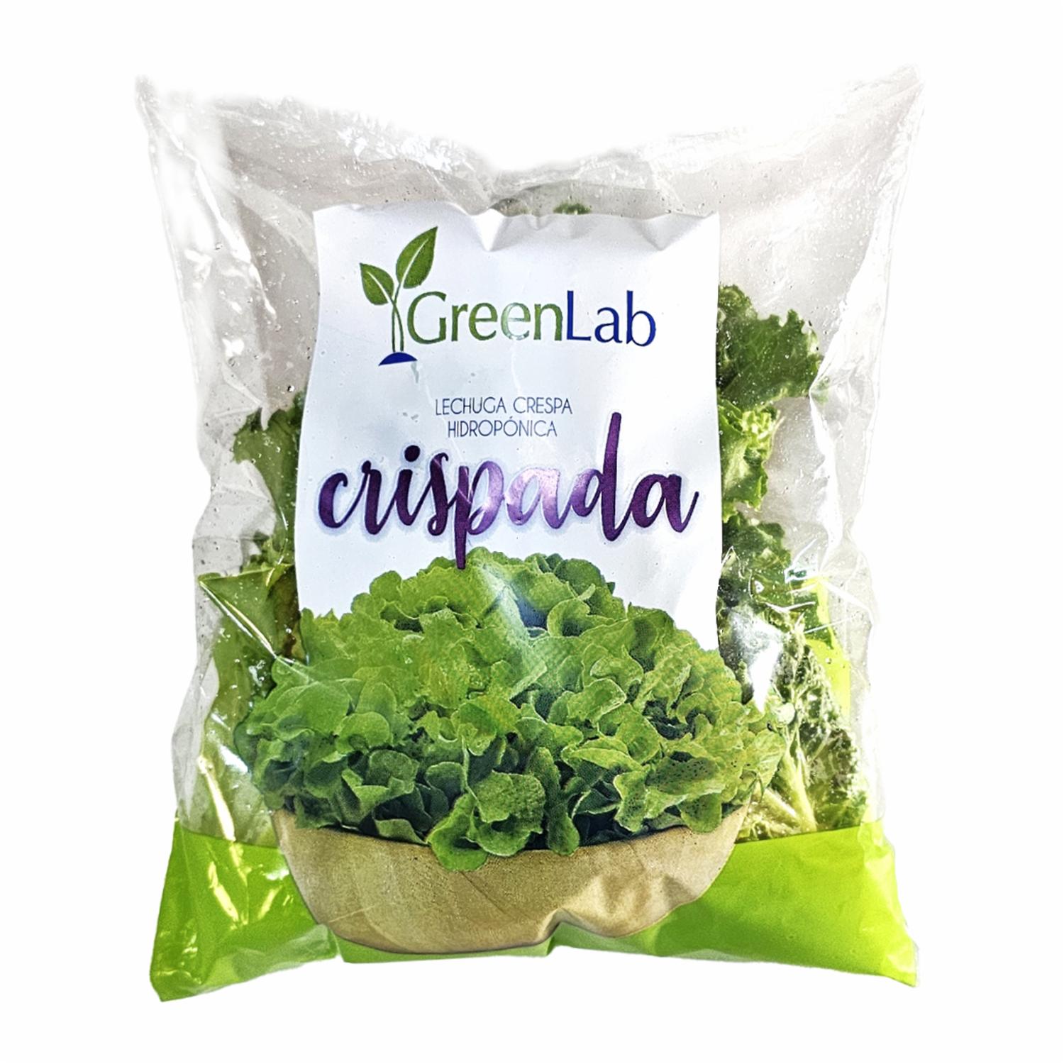 Lechuga Crespa Hidropónica Crispada GREENLAB 200 G