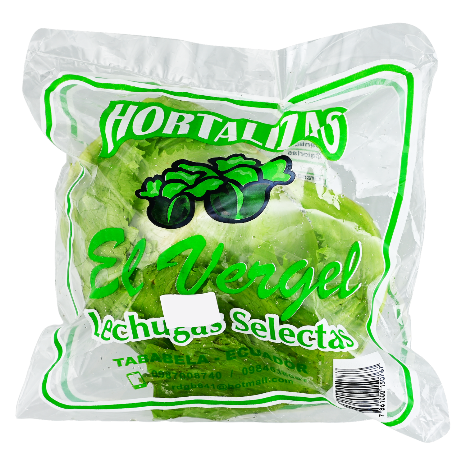Lechuga Comun EL VERGEL 450g a 700g