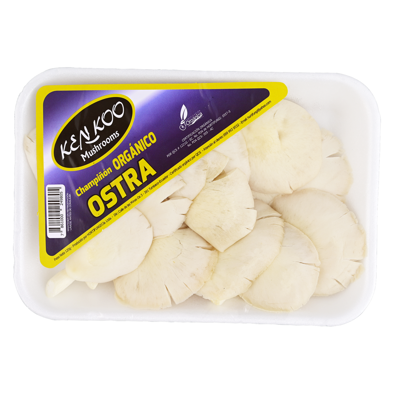 Champiñón Ostra KENKOO 120 G
