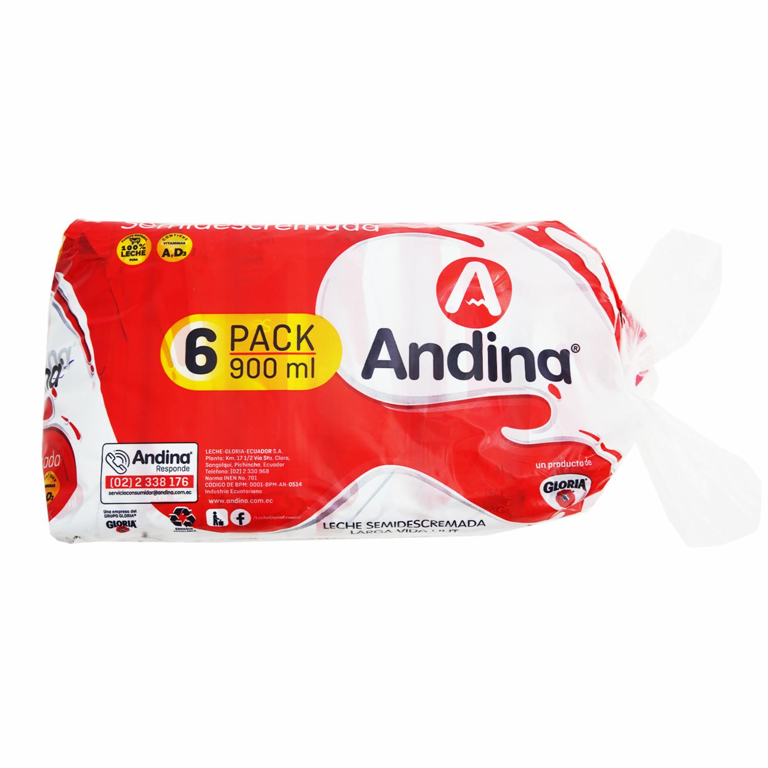 Pack Leche Semidescremada En Funda ANDINA 6 X 900 Ml