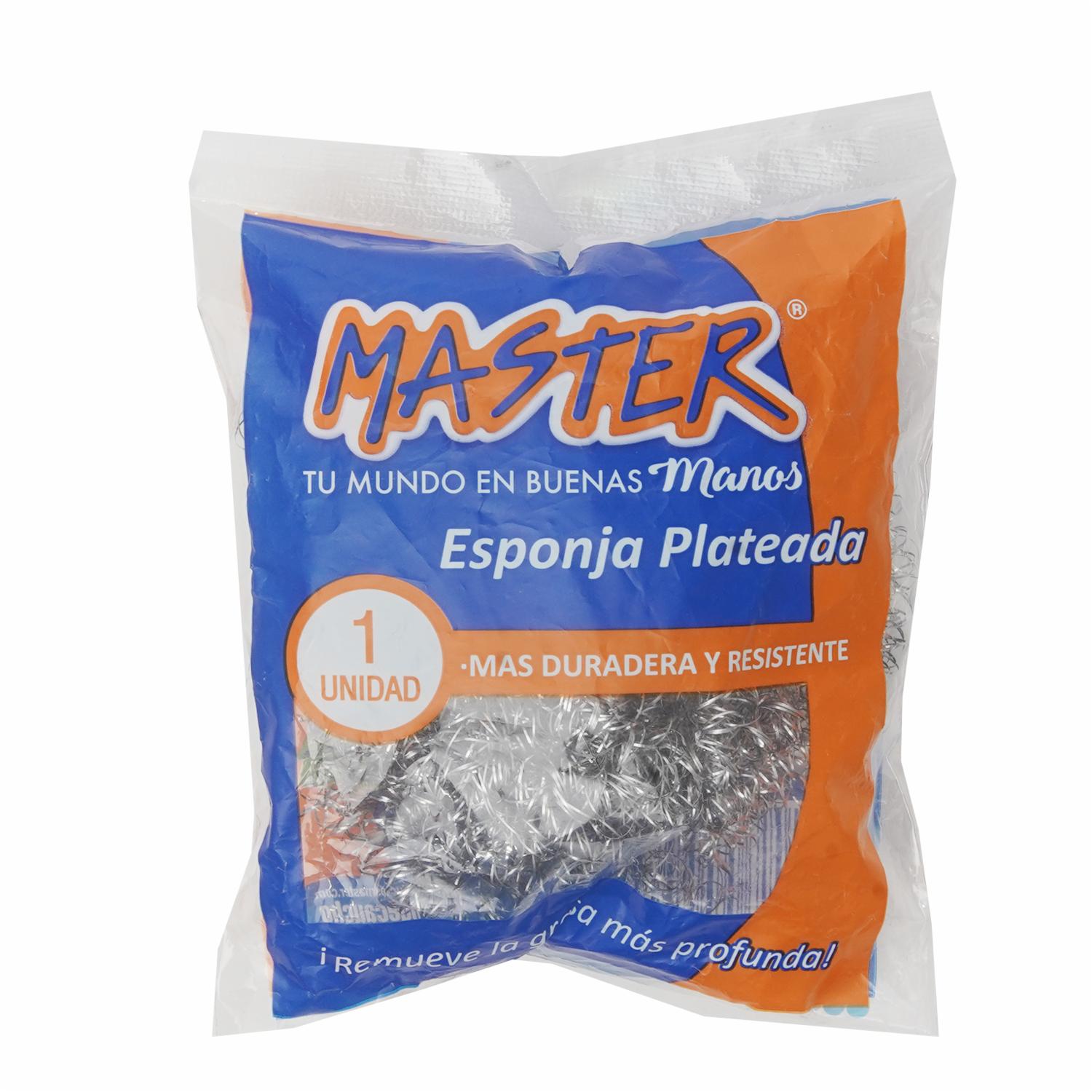 Esponja Plateada MASTER Unidad