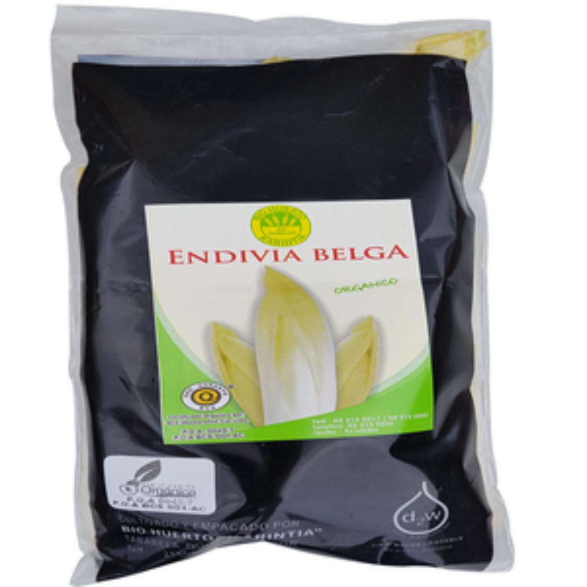 Endivia Belga Orgánica KARINTIA 200 G