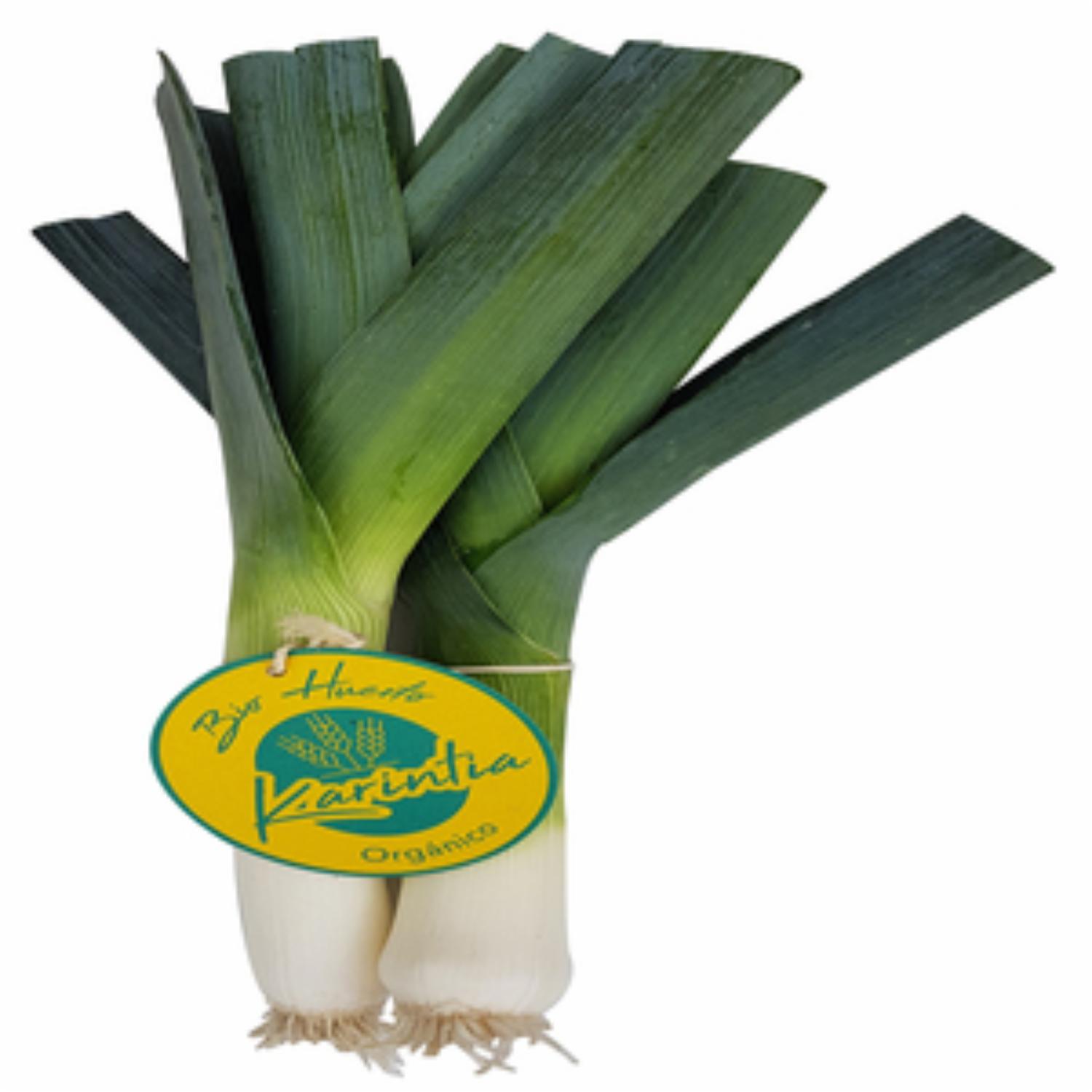 Cebolla Puerro Orgánica KARINTIA 500 G