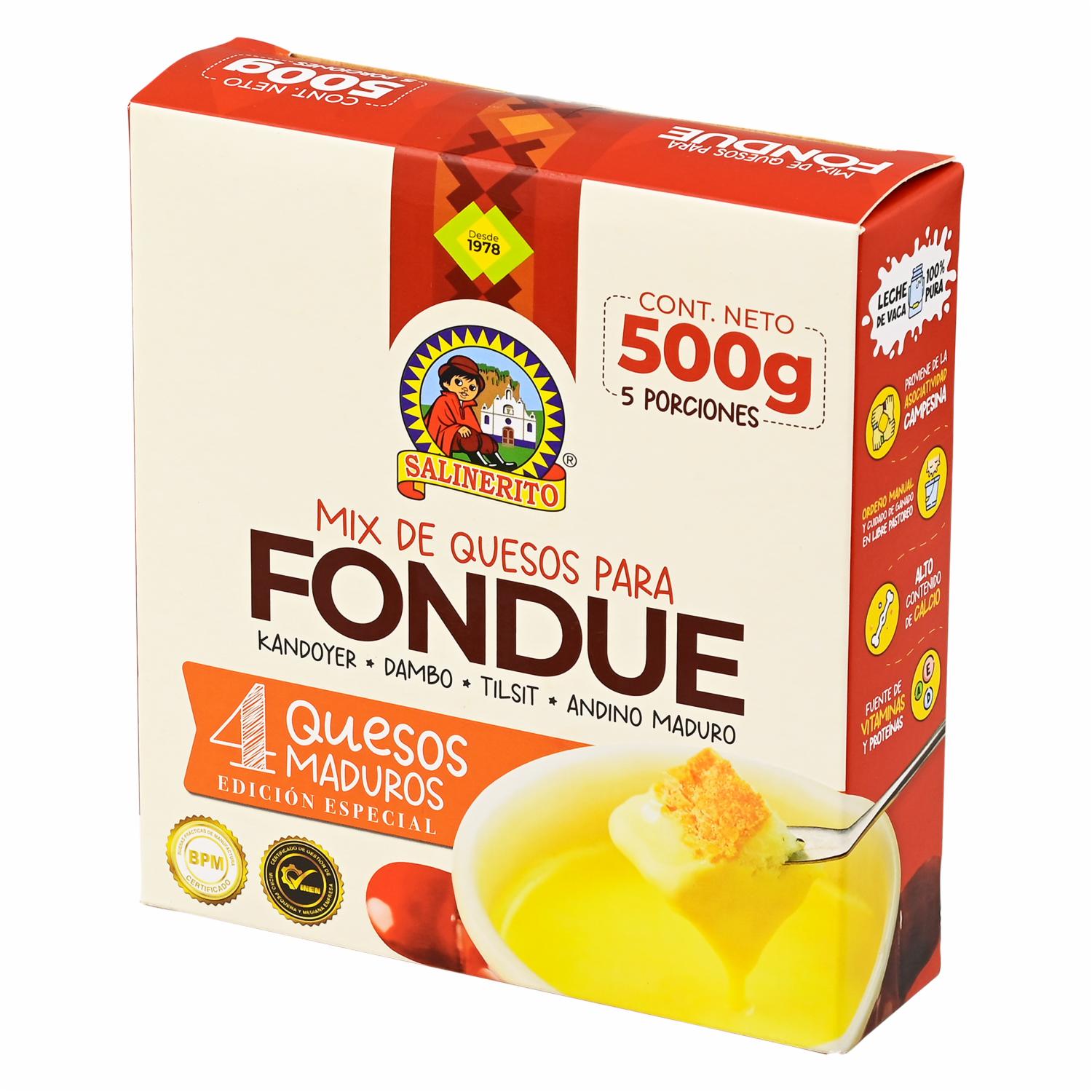 Queso Fondue Salinas SALINERITO 500g