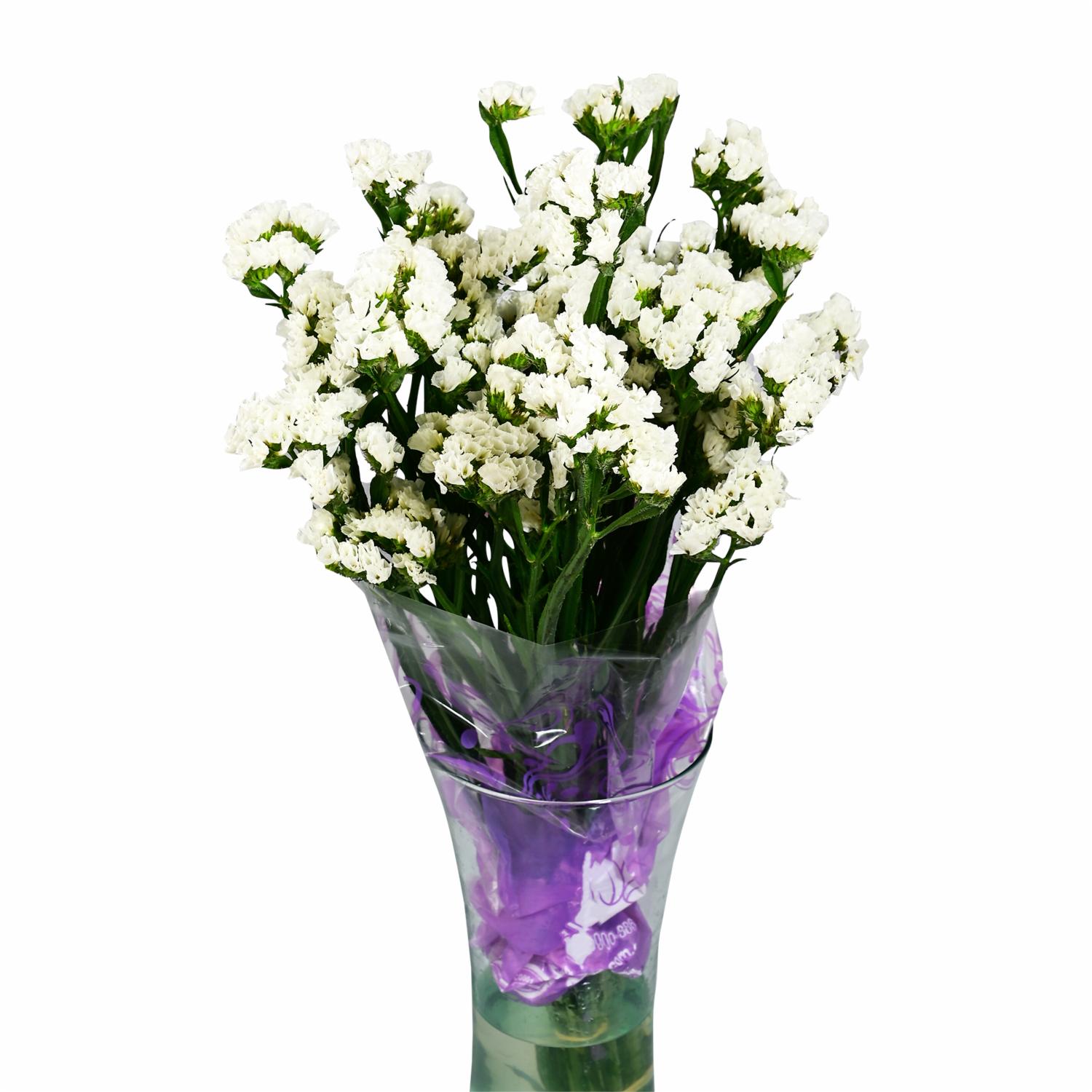 Flores Siempre Vivas ECUABOUQUETS 60-70CM