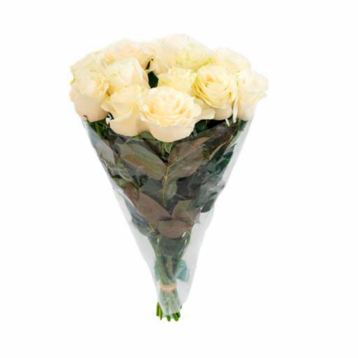 Rosas Blancas ECUABOUQUETS X 12 Tallos