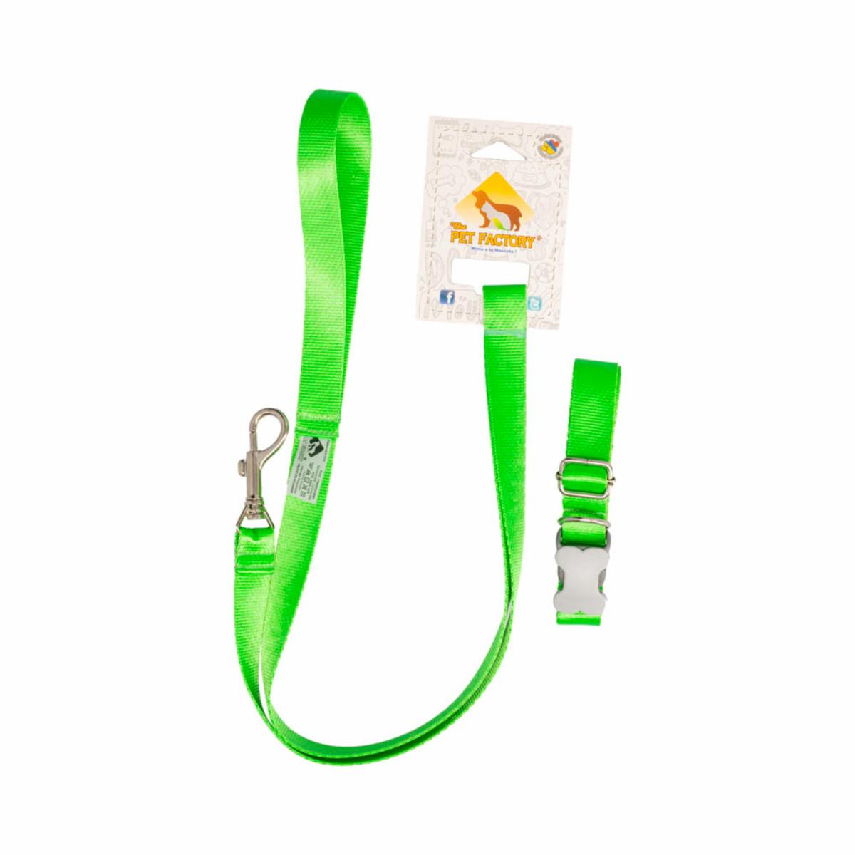 Collar Para Mascota Y Traílla Premium THE PET FACTORY Talla Pequeño