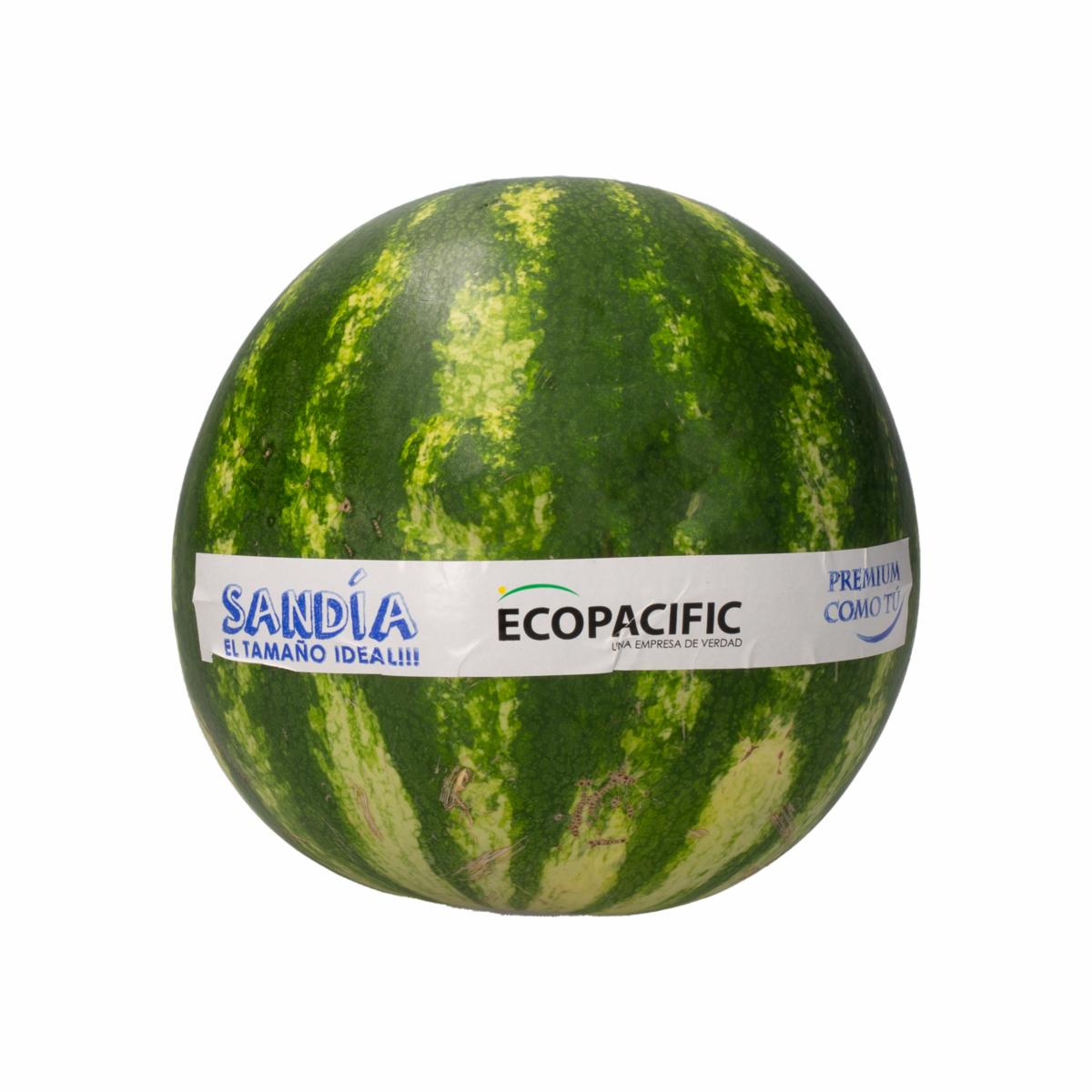 Sandia Tipo Quetzali ECOPACIFIC Al Peso