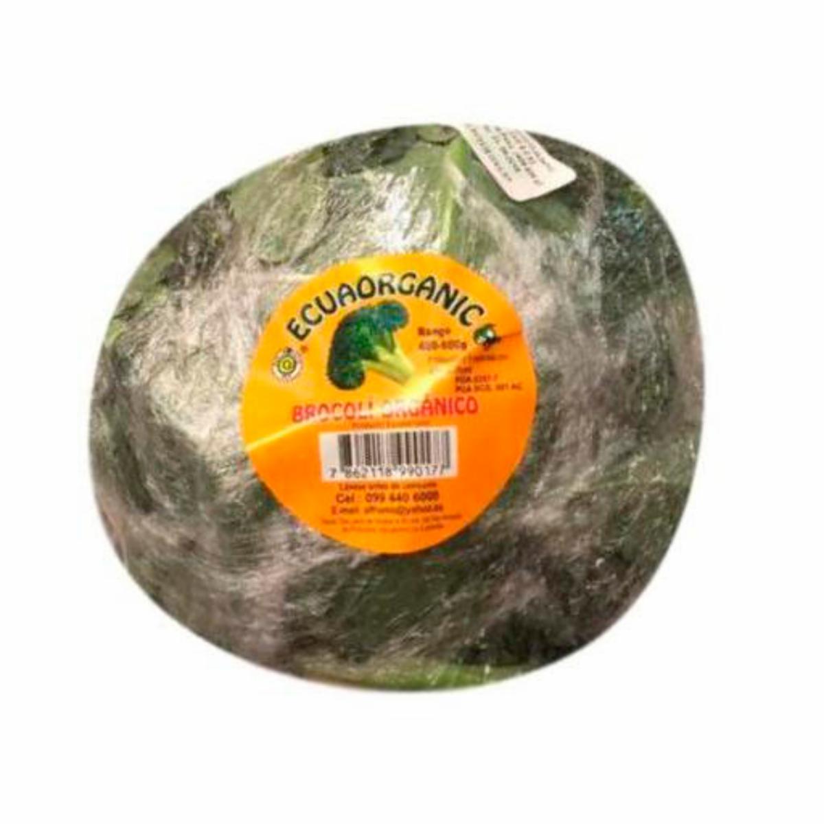 Brócoli Empacado ECUAORGANIC 400-600 G