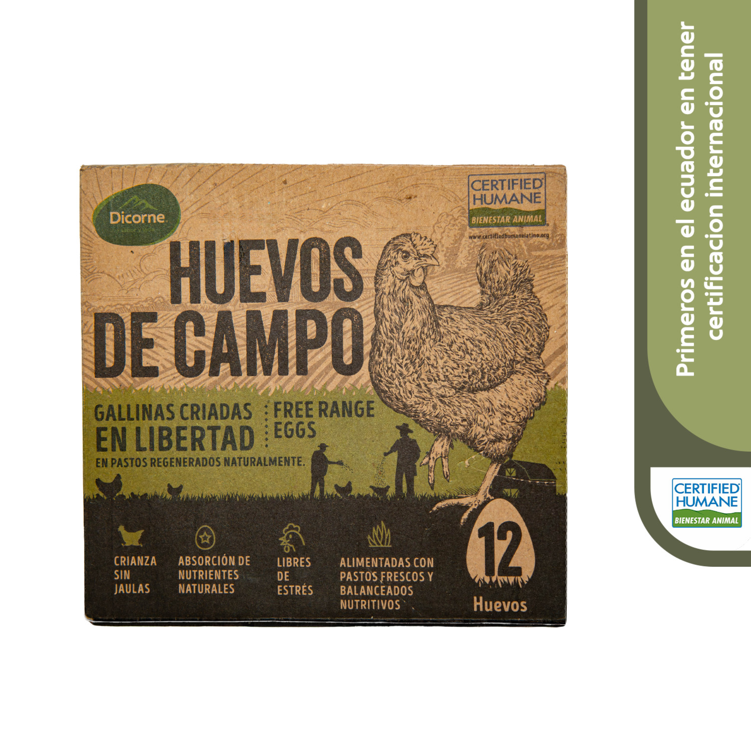 Huevos De Gallina De Campo Libres De Jaula DICORNE X 12 Uds