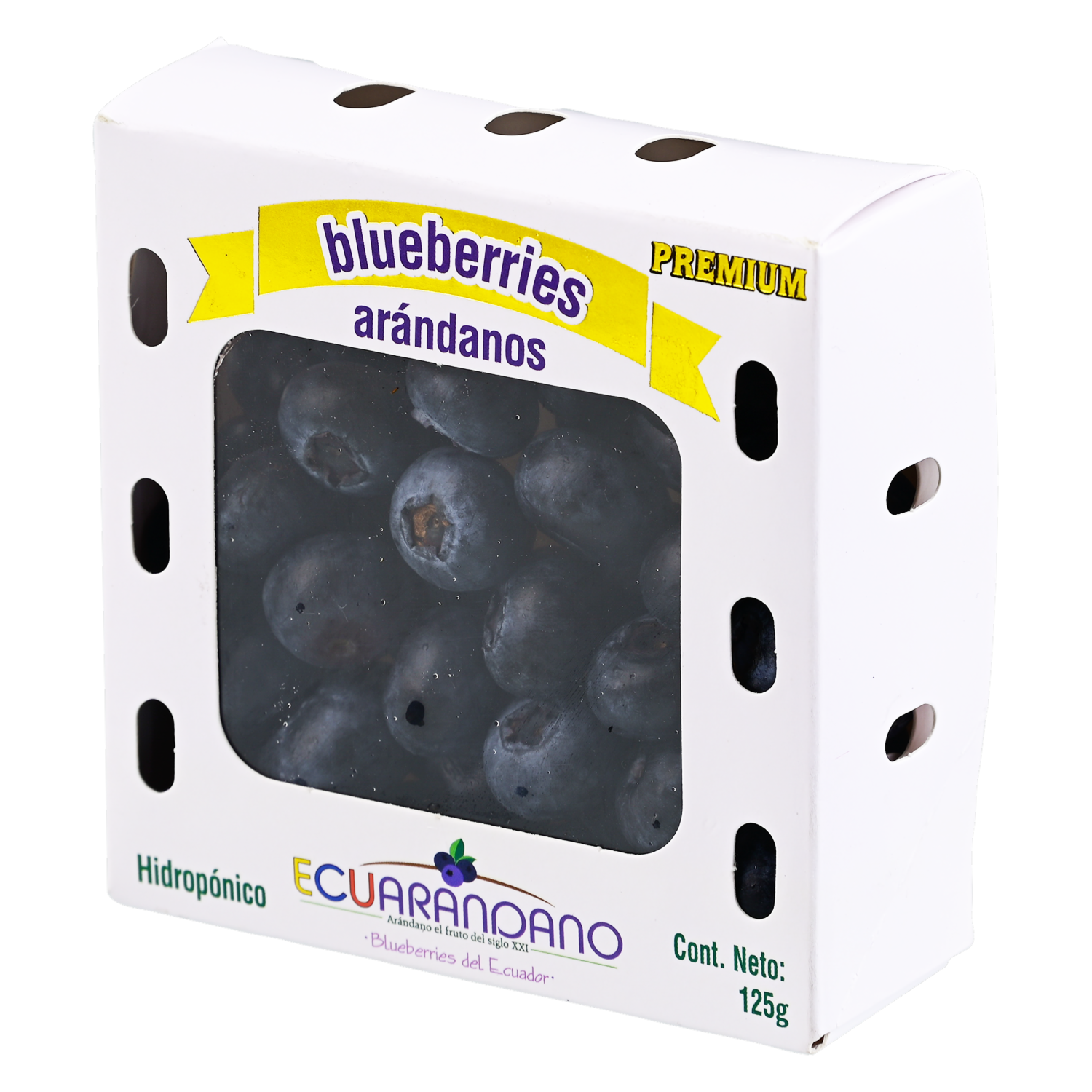 Arándanos Jumbo Hidropónico ECUARANDANO 125 G