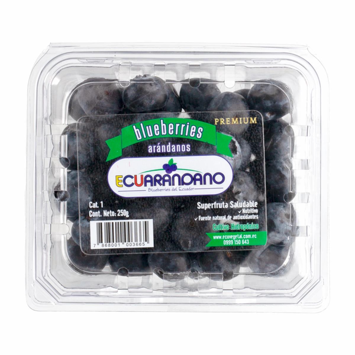 Arándanos Jumbo ECUARANDANO 250 G