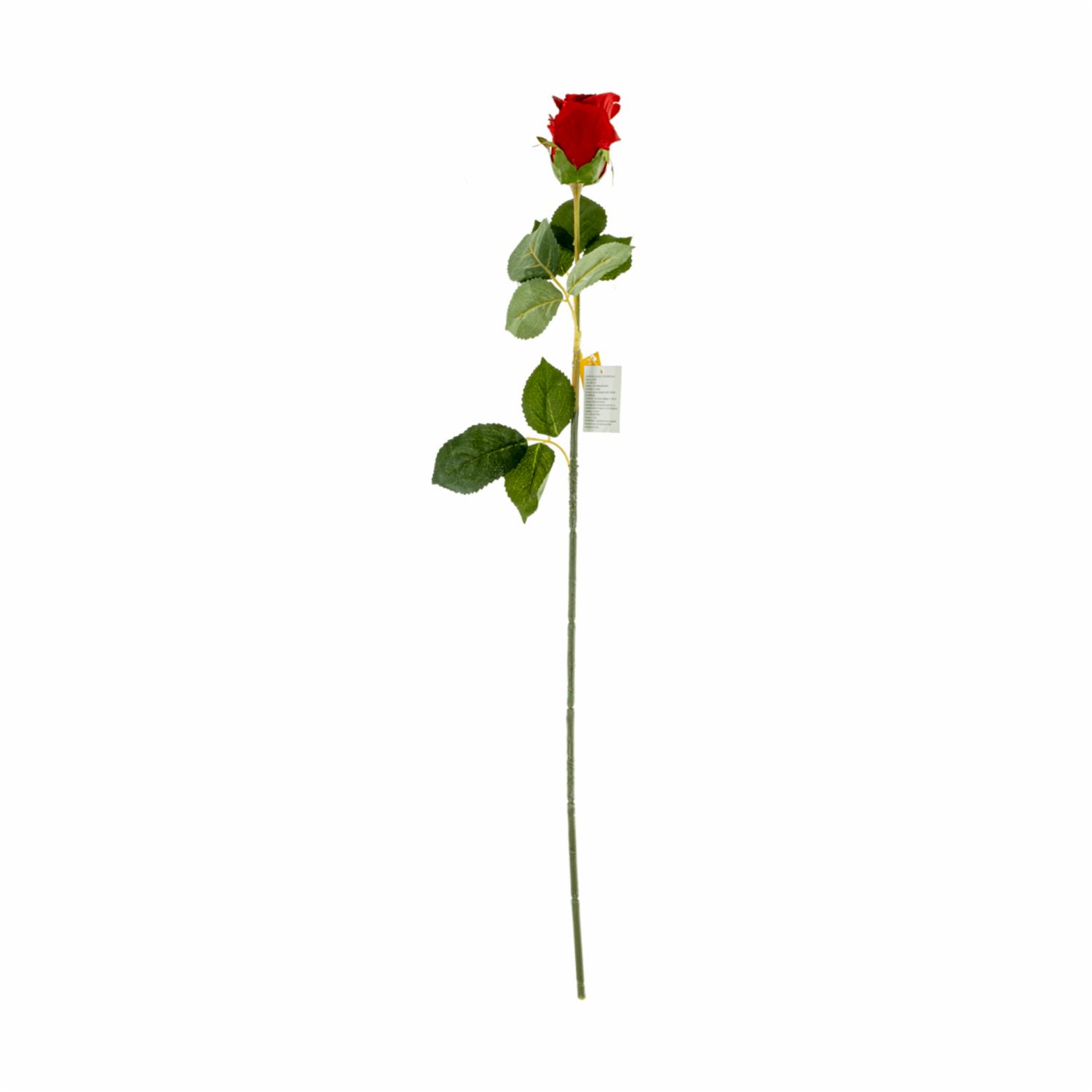 Rosa Solitaria FREE HOME Rojo
