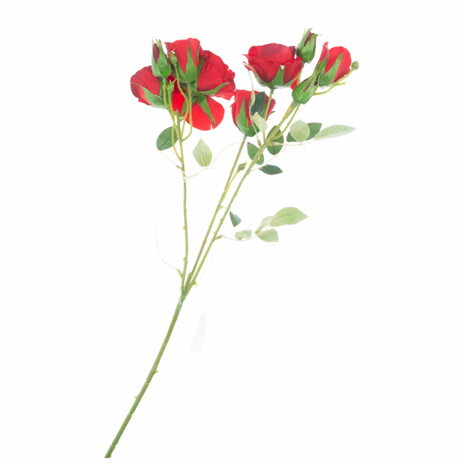 Ramillete Rosas FREE HOME Rojo