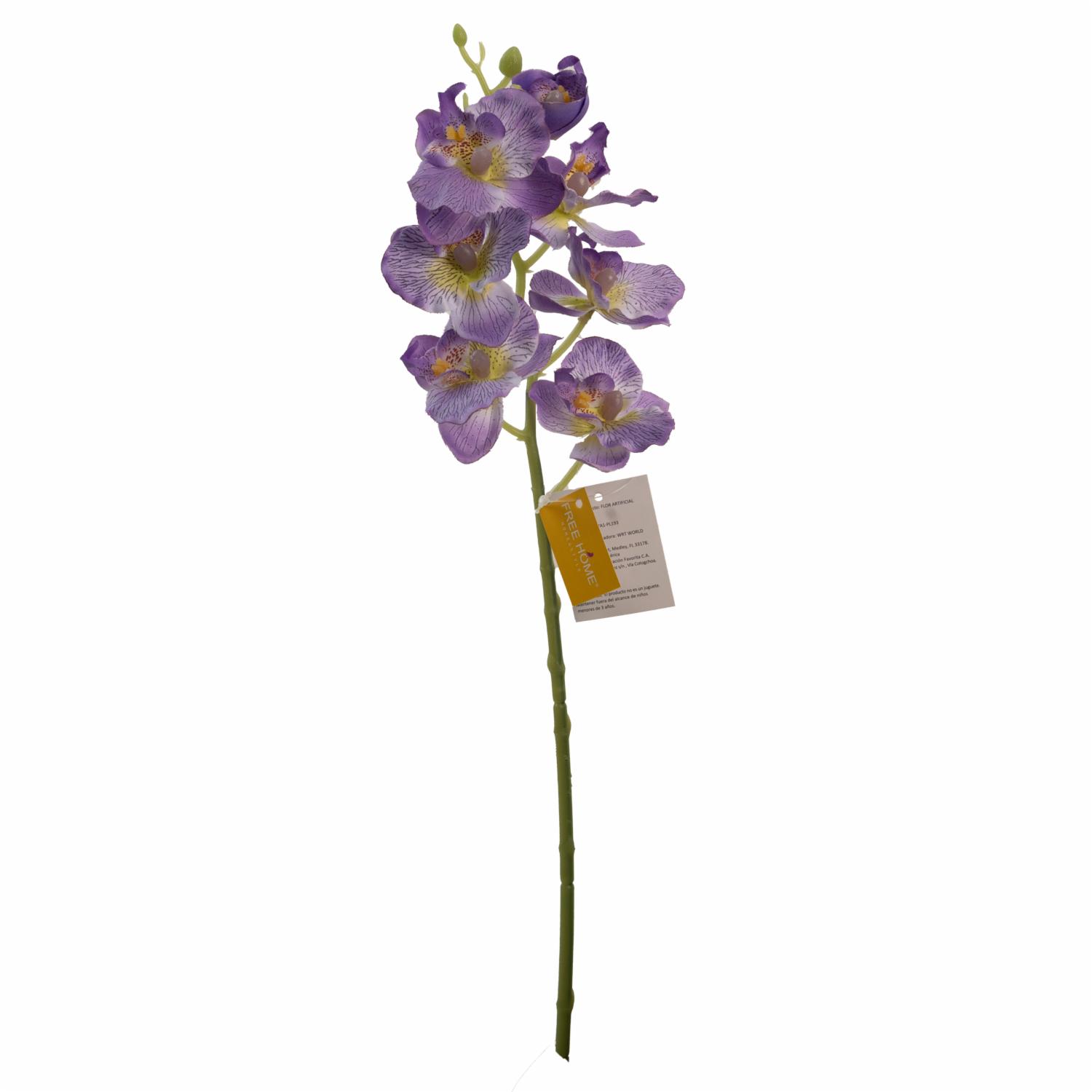 Orquídea Pequeña FREE HOME Lila