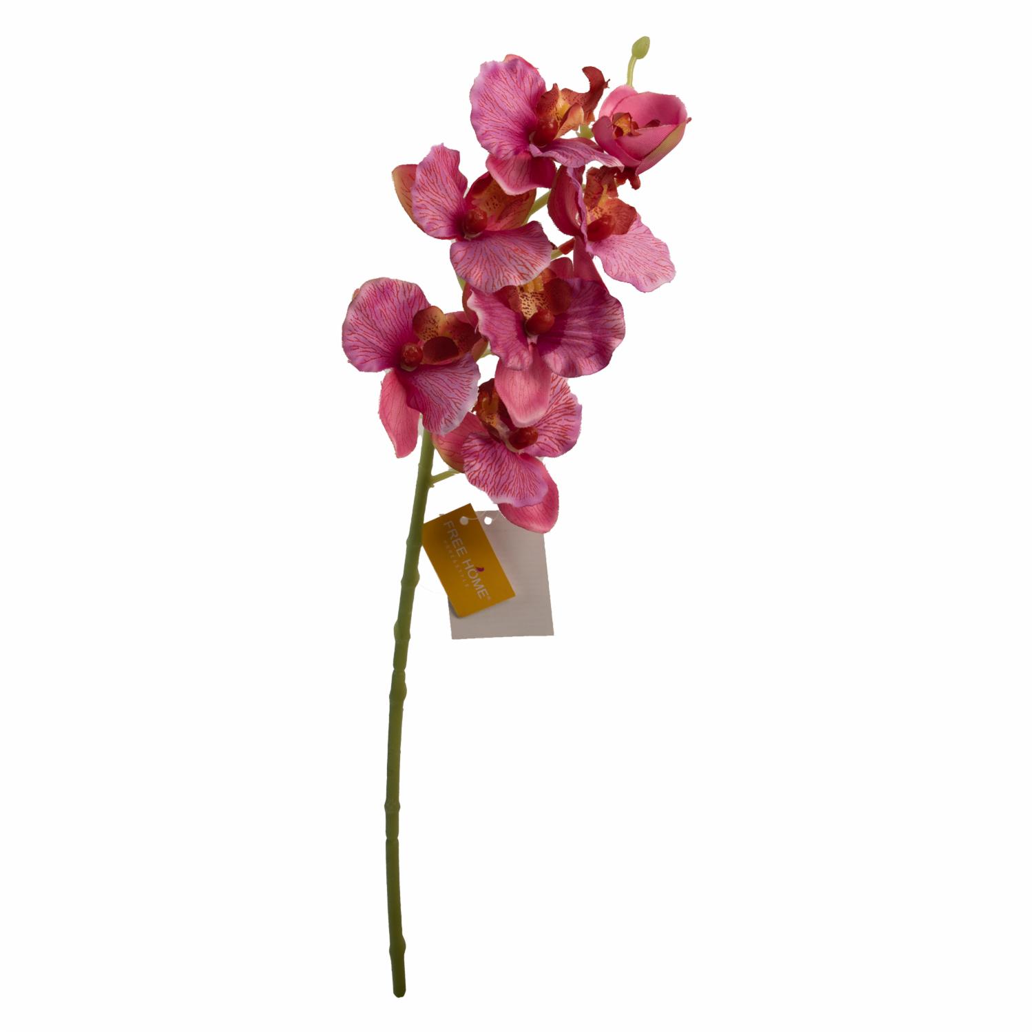 Orquídea Pequeña FREE HOME Fucsia