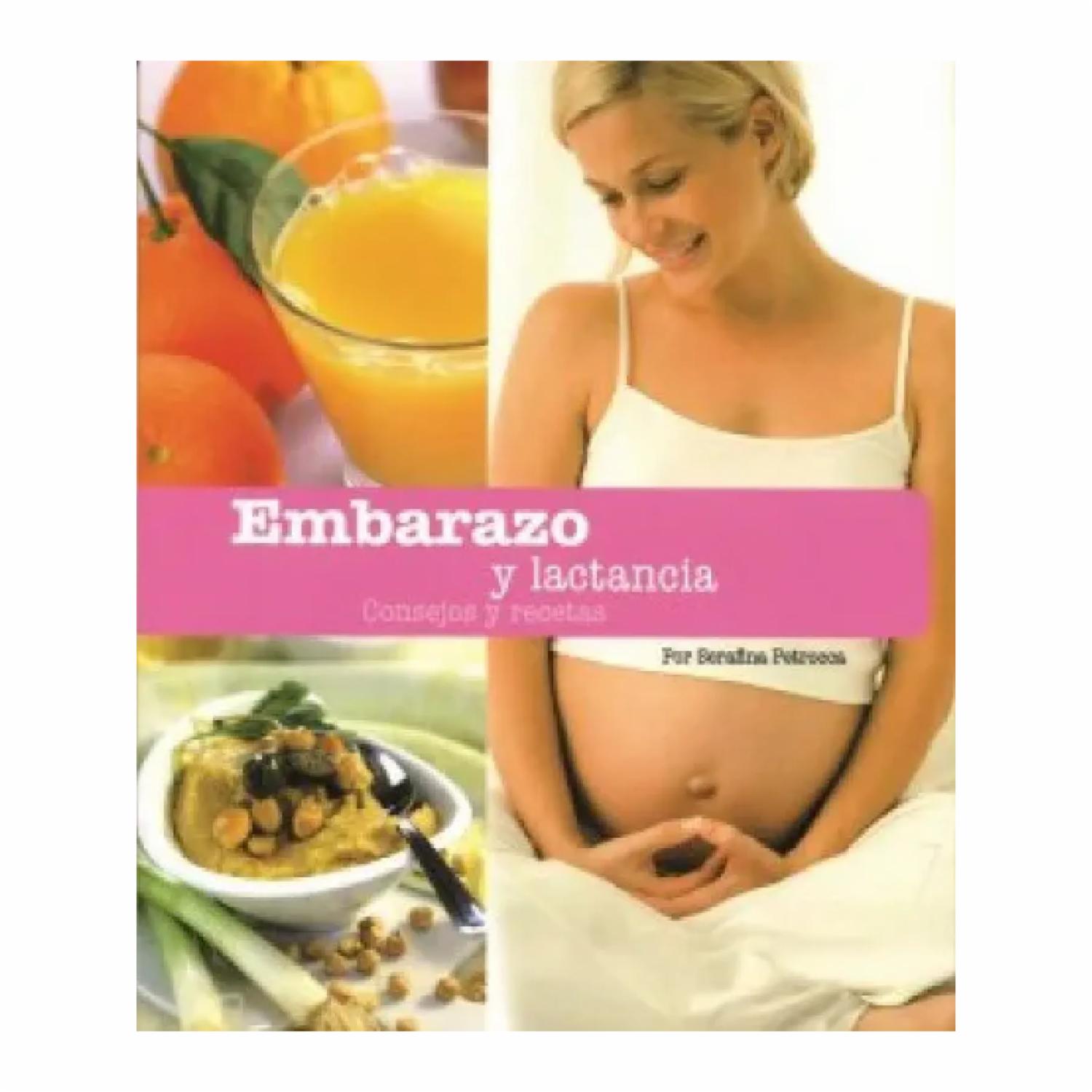 Embarazo Y Lactancia Serafina Petrocca MR.BOOKS 127 Páginas