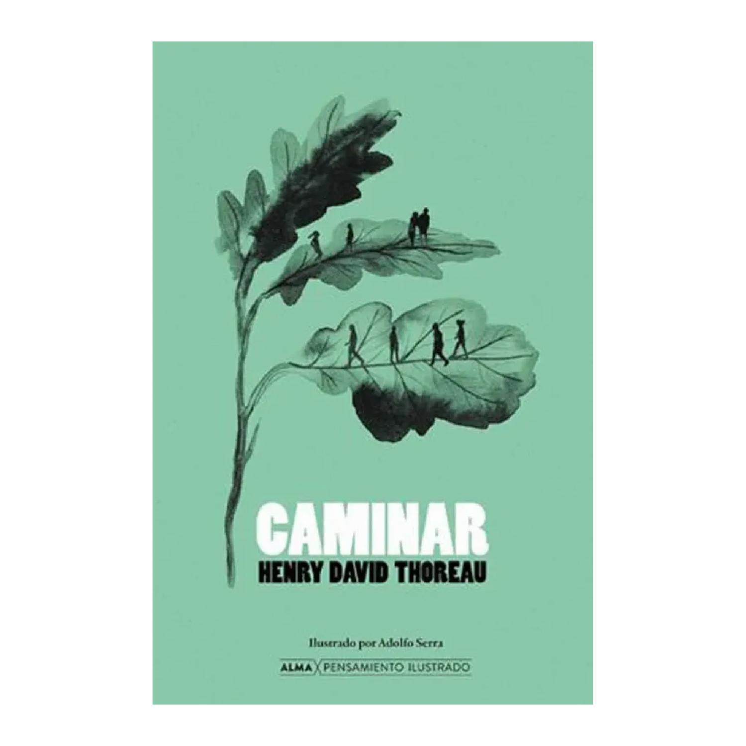 Libro Caminar EDITORIAL ALMA 80 Páginas