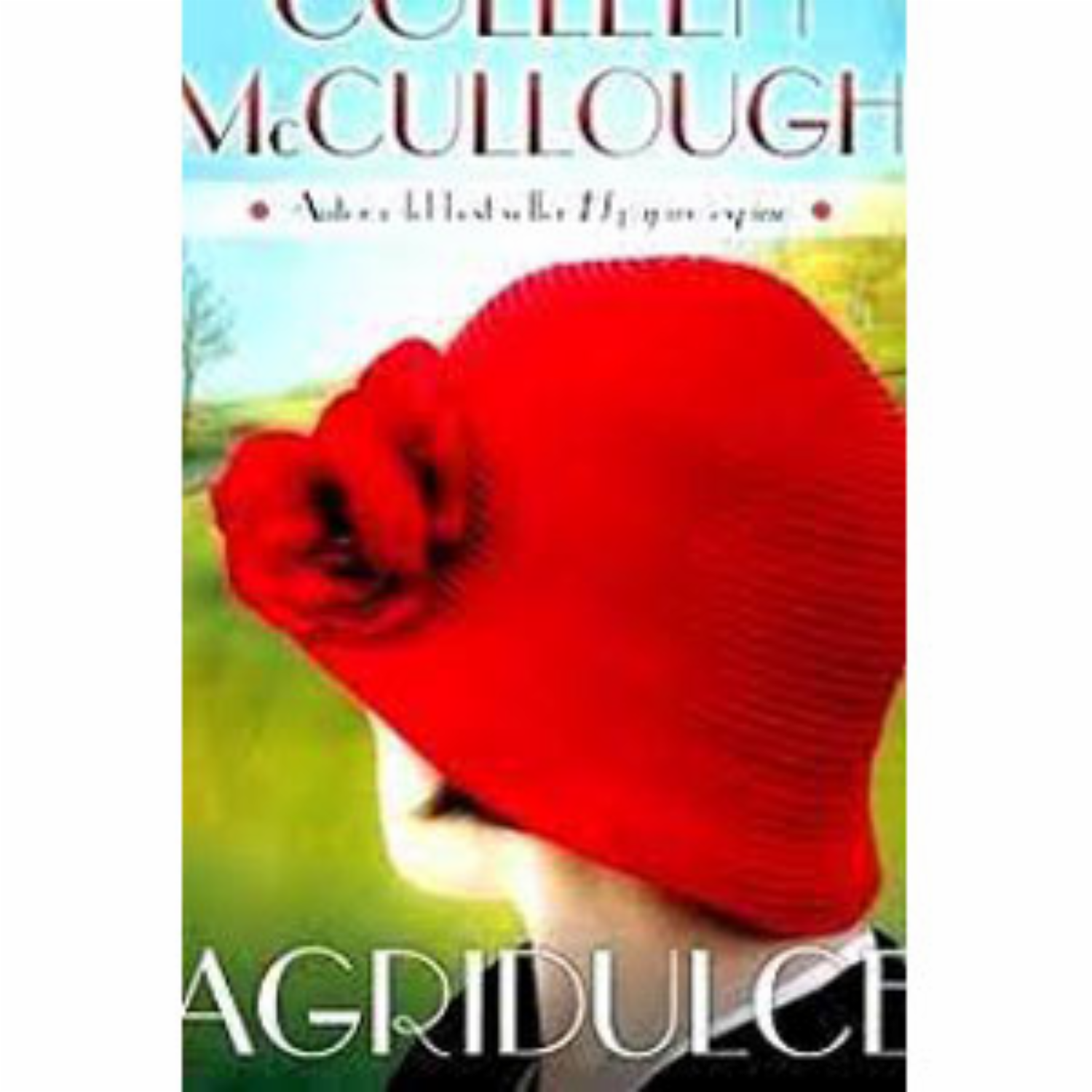 Libro Agridulce NOVELAS CON ALMA 520 Páginas