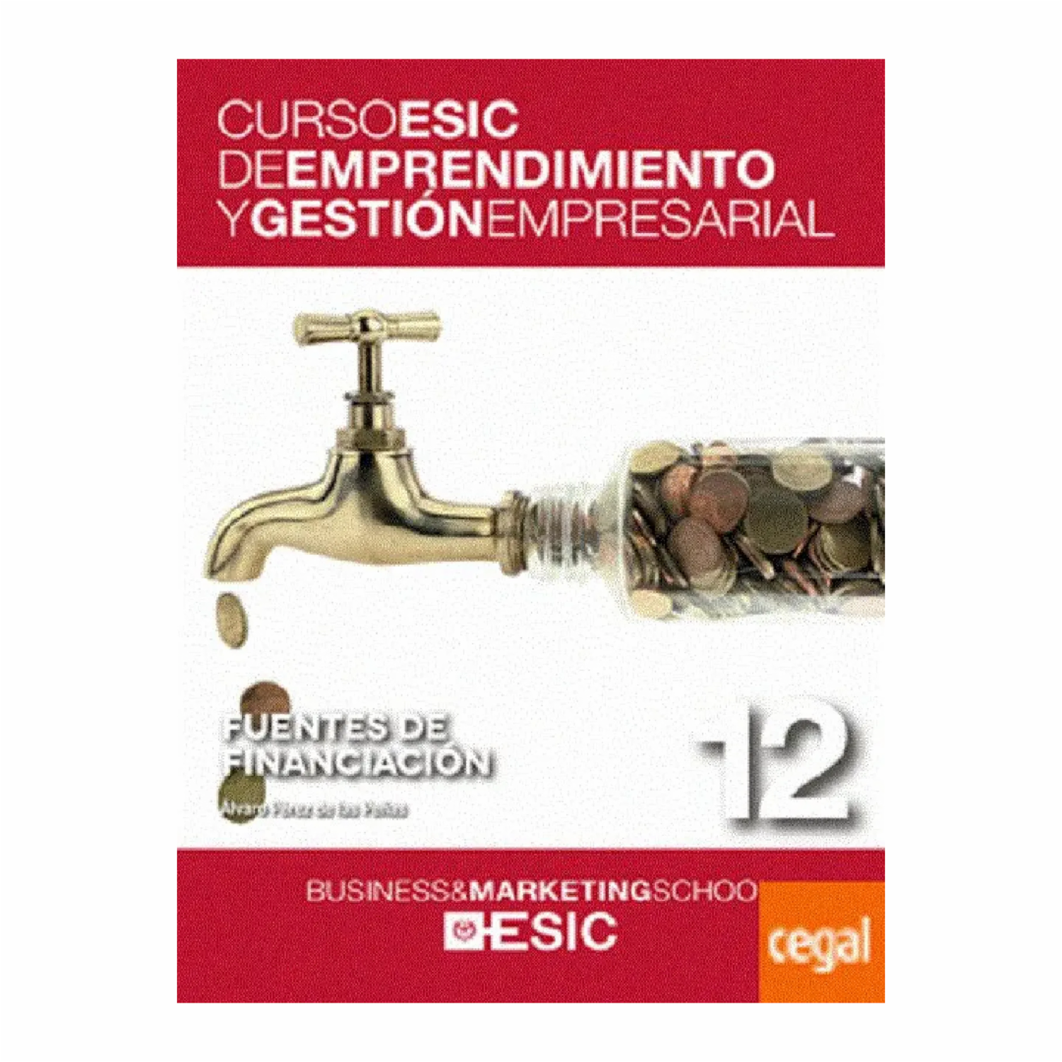 Libro Fuentes De Financiación ESIC 118 Páginas