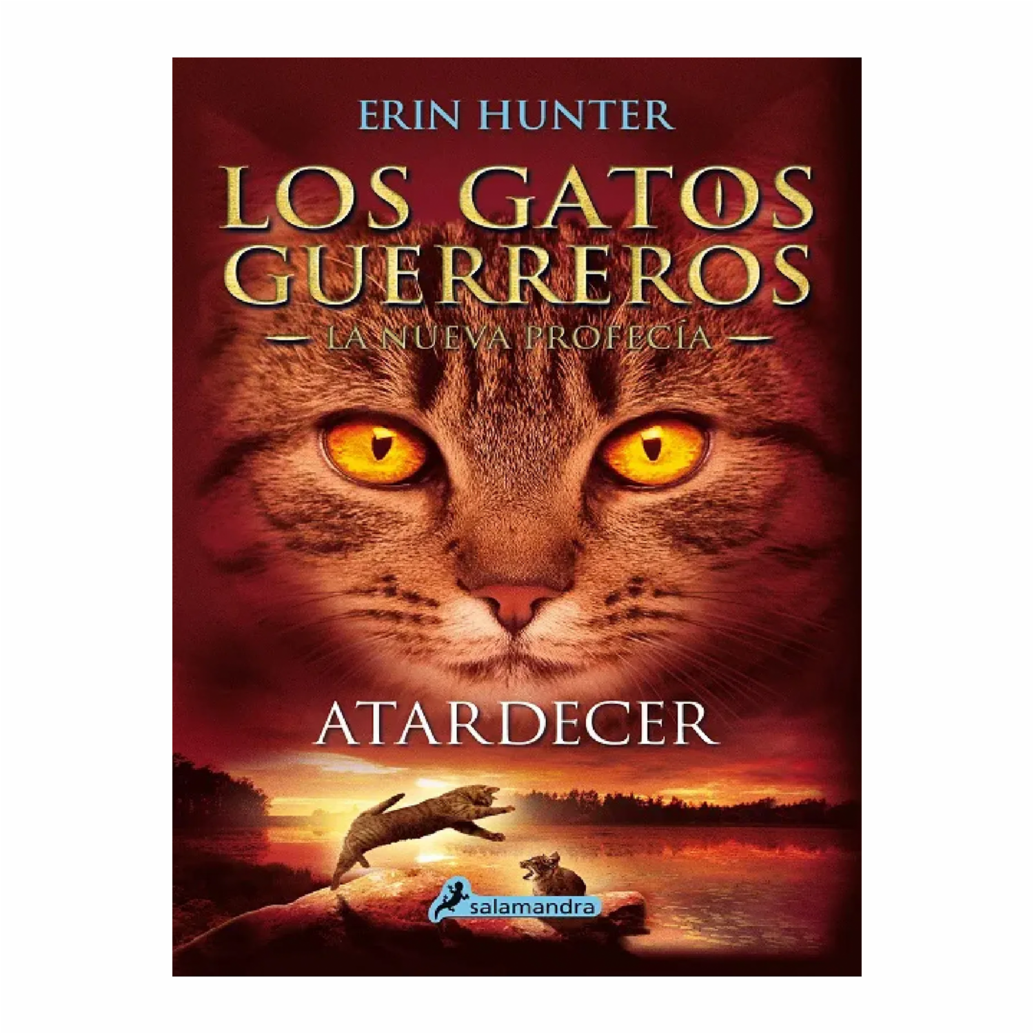 Los Gatos Guerreros Atardecer VI Erin Hunter SALAMANDRA 304 Páginas