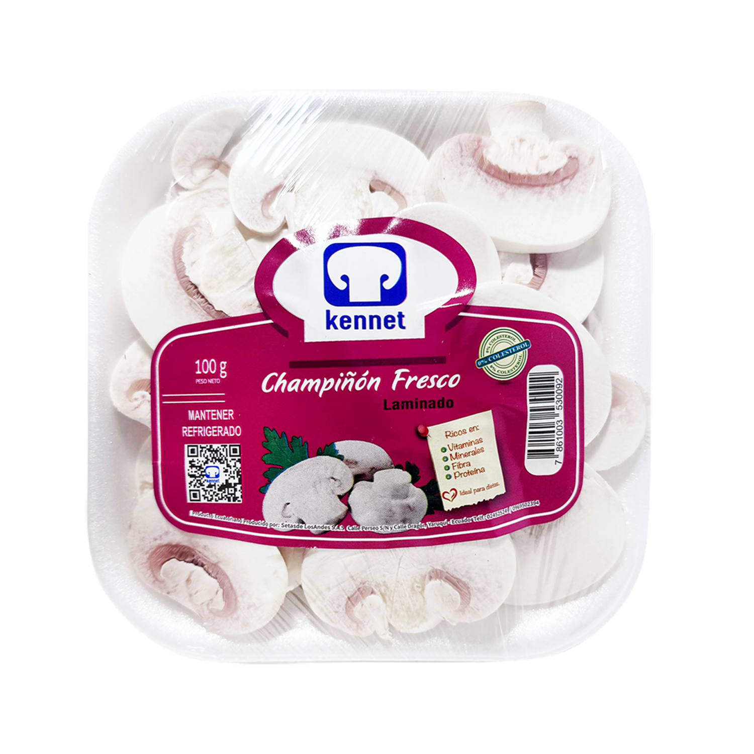 Champiñón Fesco Laminado Hongos – Setas KENNET 100 G