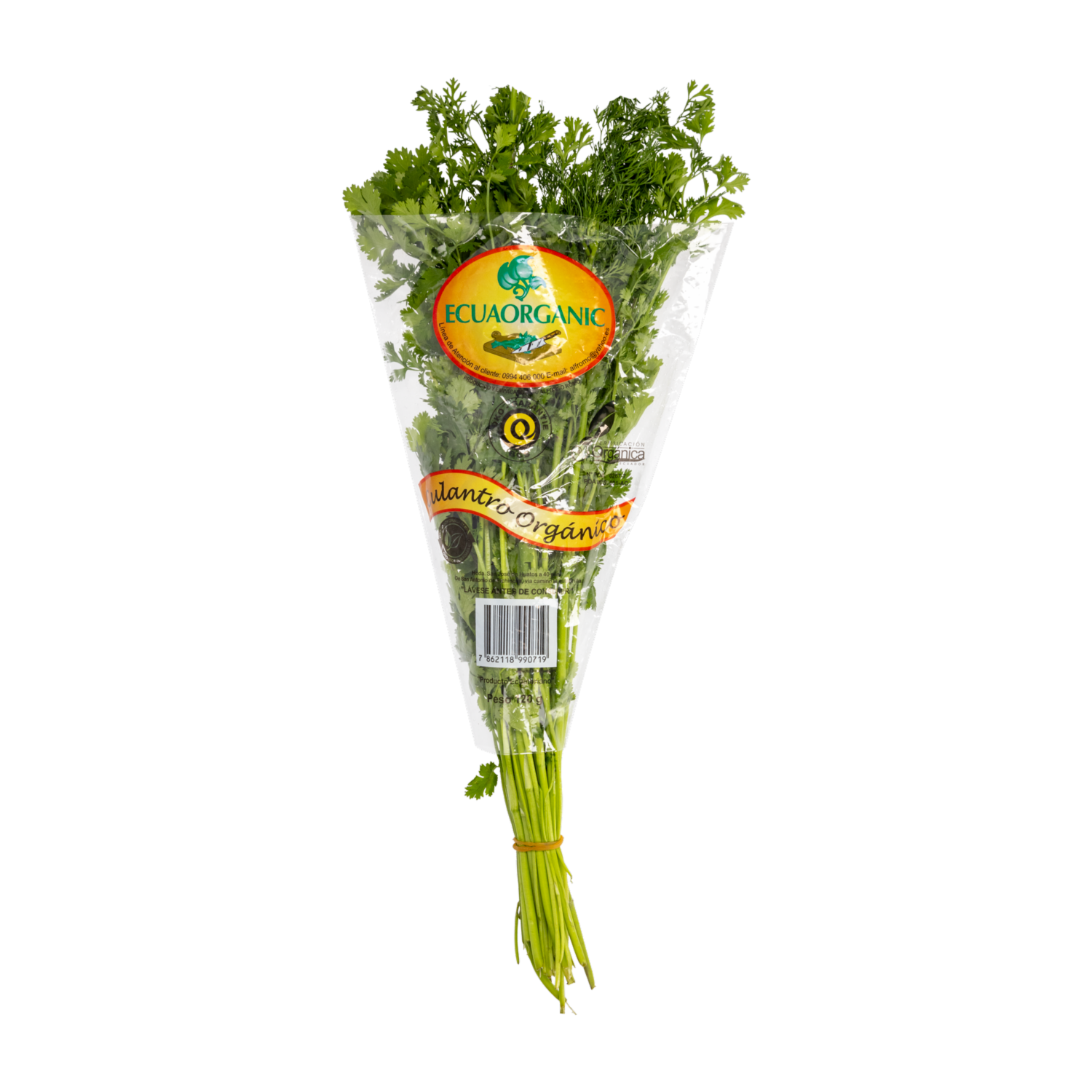 Culantro Orgánico ECUAORGANIC 120 G