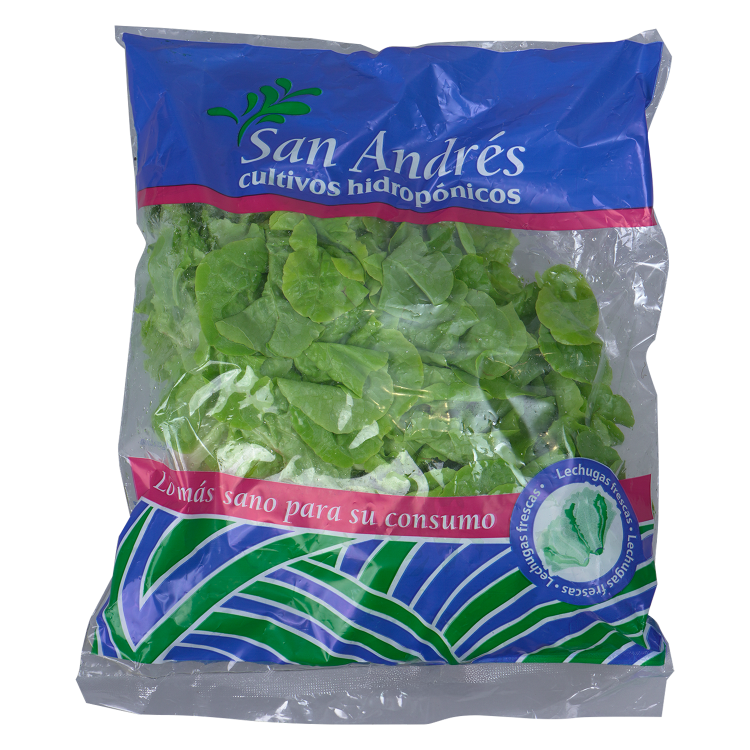 Lechuga Fresca SAN ANDRÉS 200g