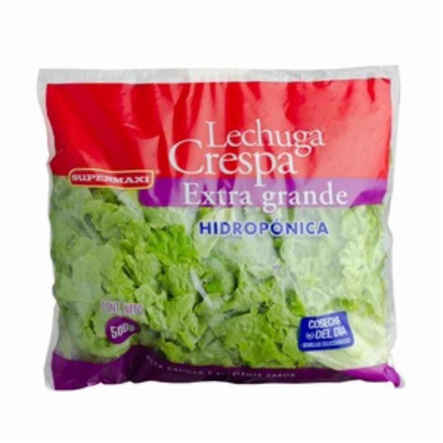Lechuga Crespa Hidropónica SUPERMAXI 500g