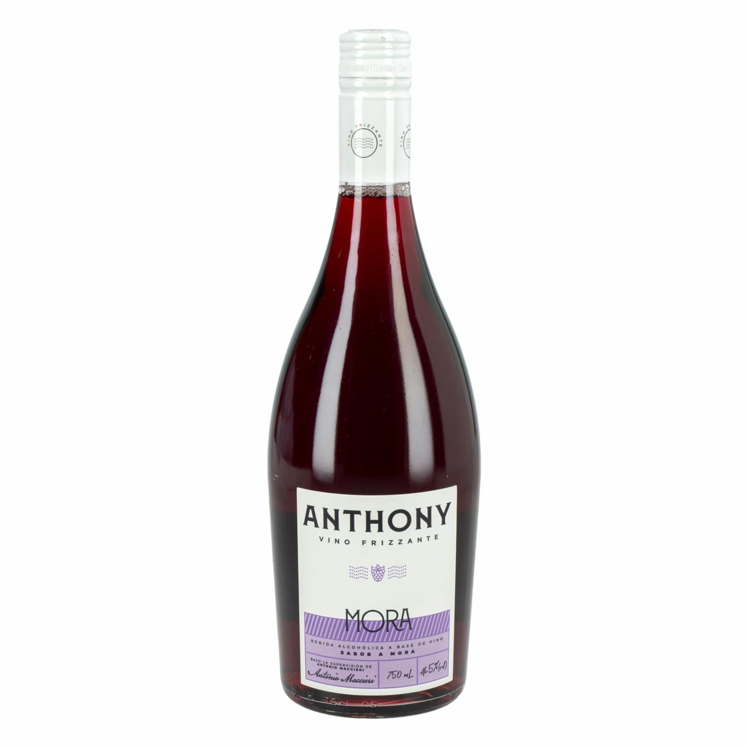 Licor Blueberry Signature Anthony 750 Ml