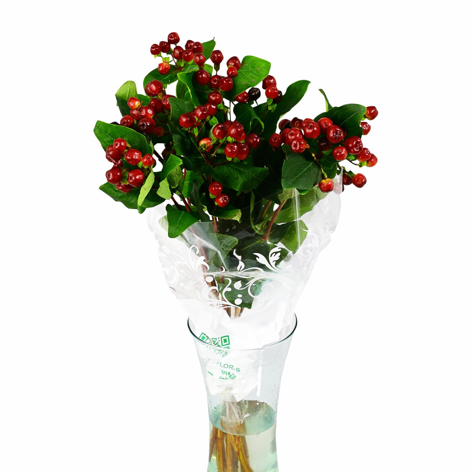 Hypericum & Craspedias ECUABOUQUETS X 10 Tallos