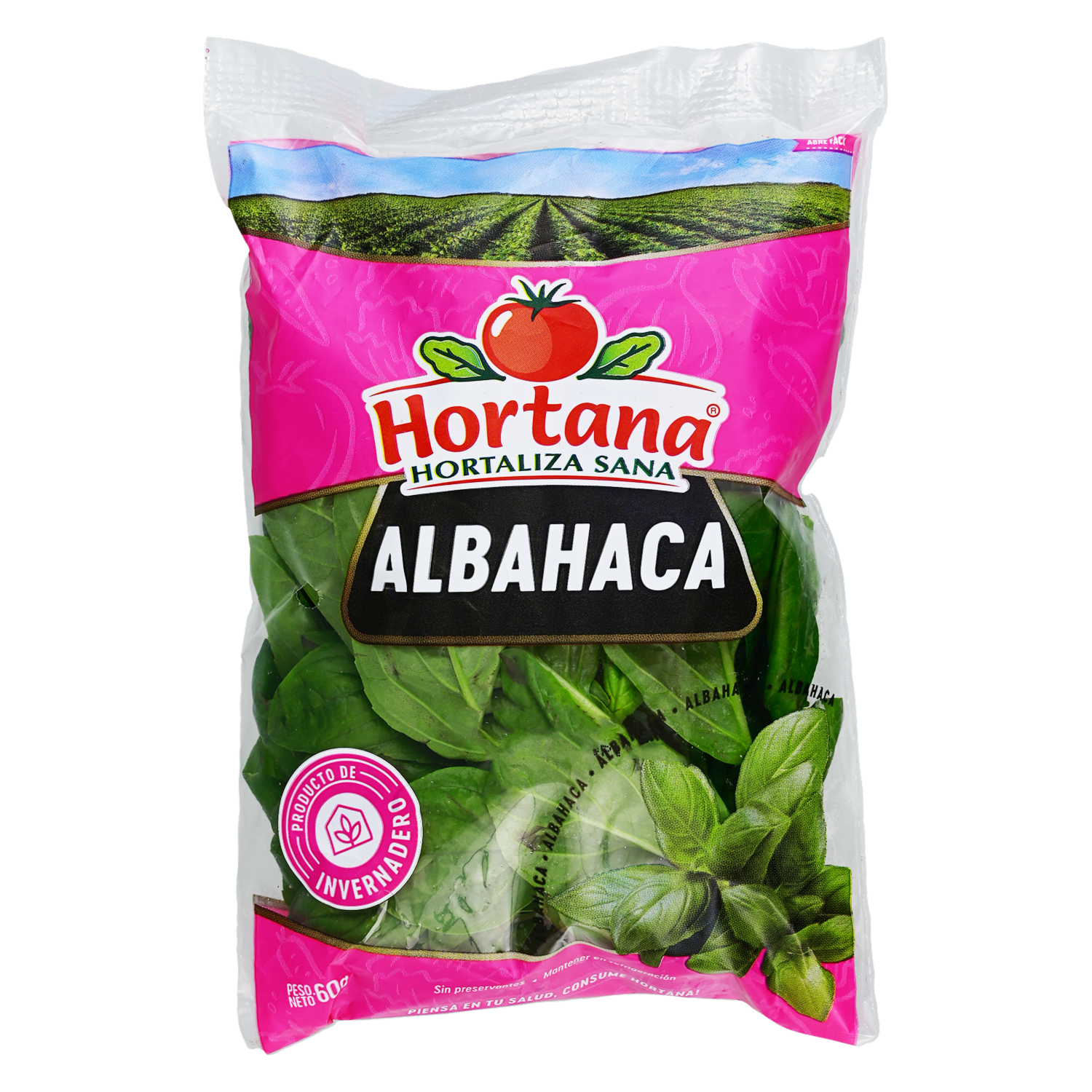 Albahaca De Invernadero HORTANA 60 G