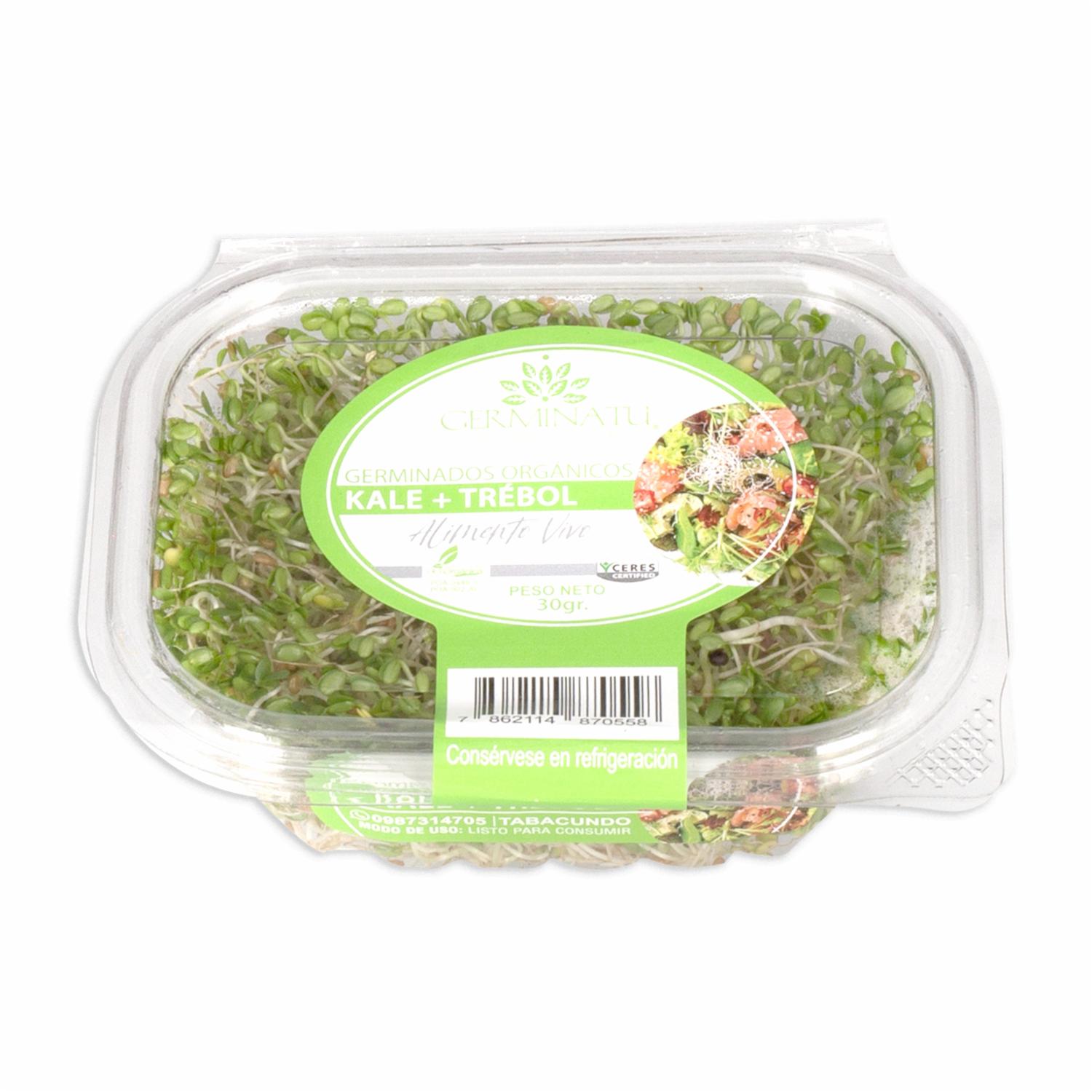 Germinado De Kale Orgánico Con Trébol GERMINATU 30 G