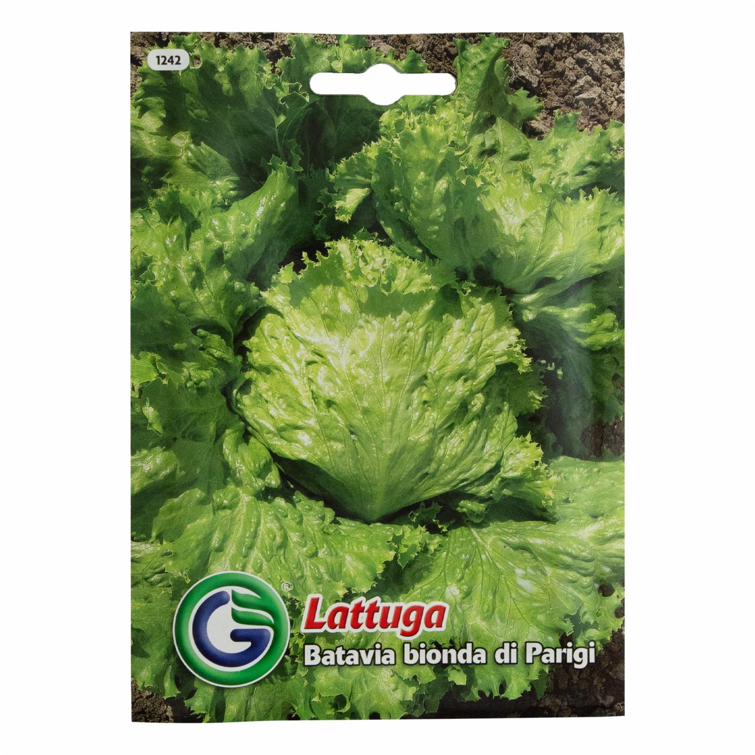Semillas De Lechuga Batavia GALASSI SEMENTI 4 g