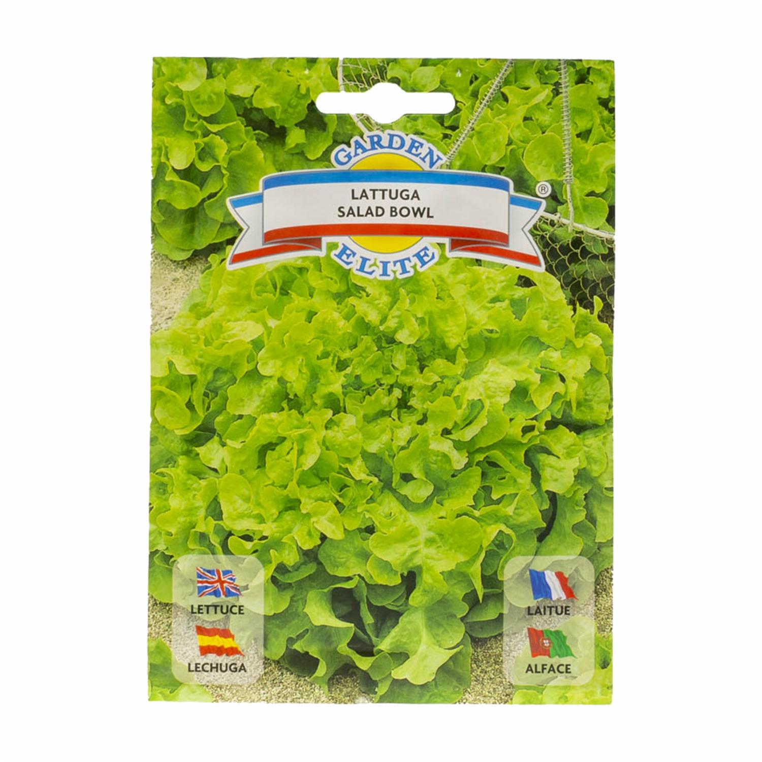 Semillas De Lechuga Sald Bowl GALASSI SEMENTI 6 g