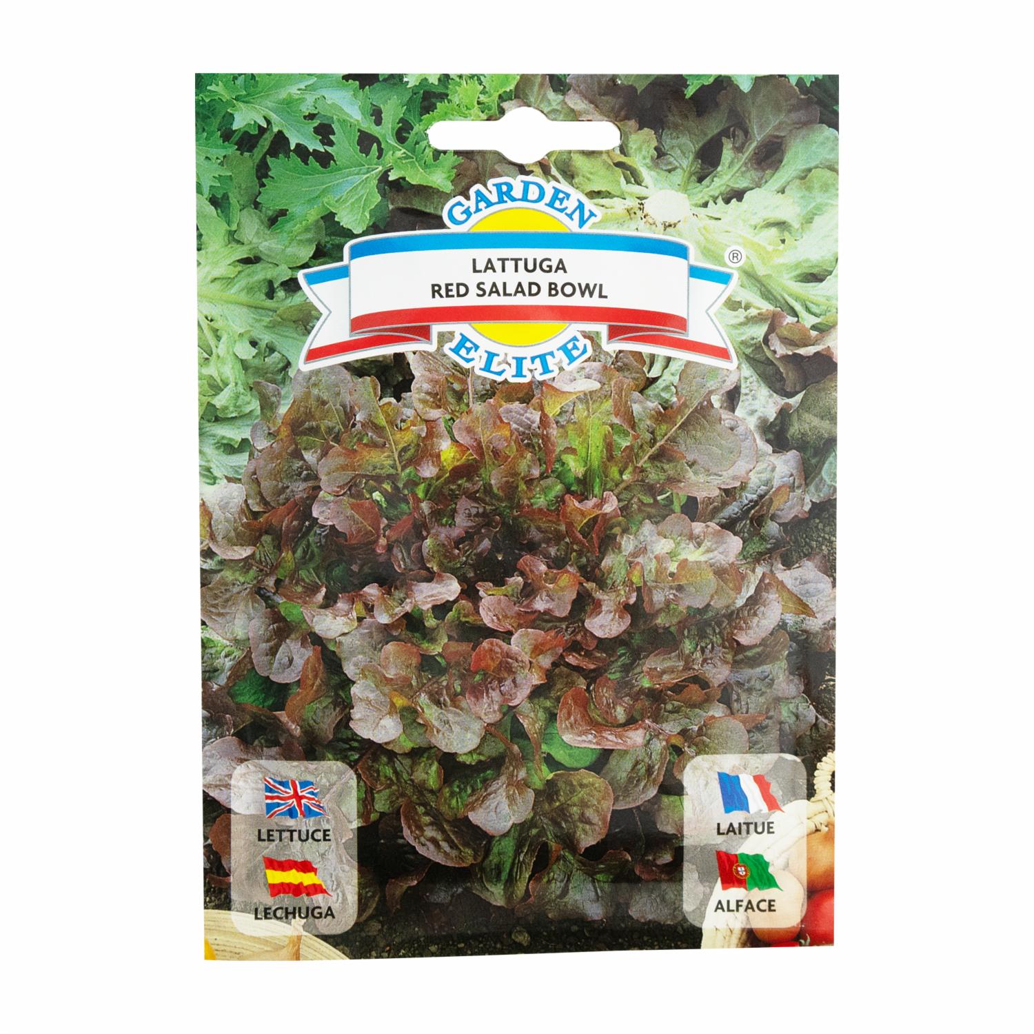 Semillas De Lechuga Red Sald GALASSI SEMENTI 6 g