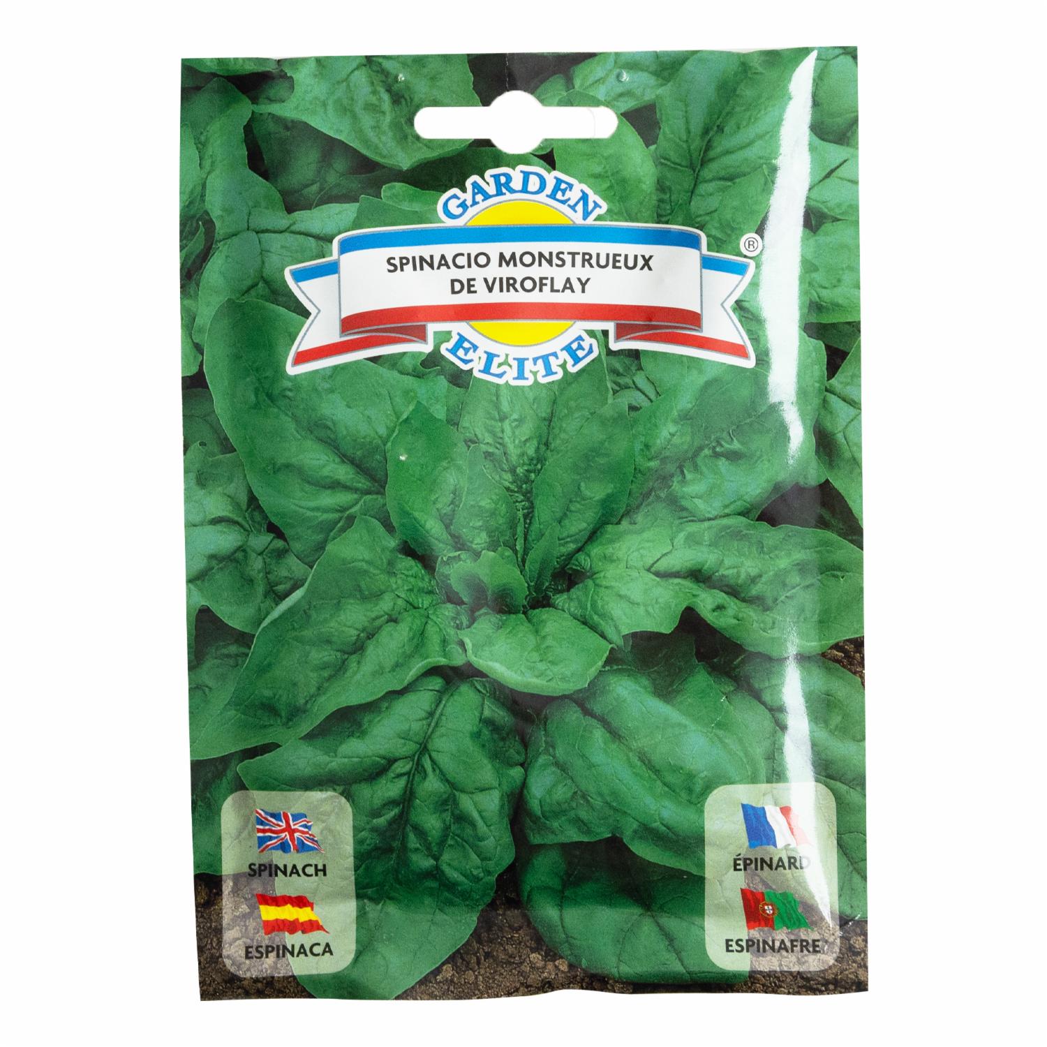 Semillas De Espinaca GALASSI SEMENTI 14 g