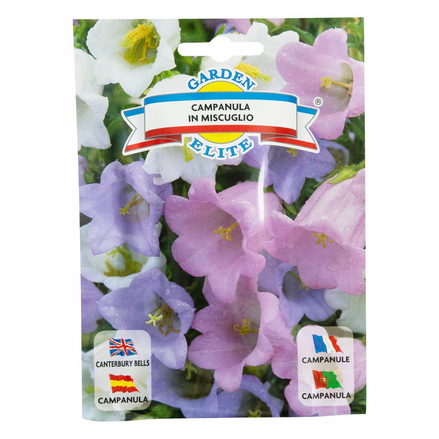 Semillas De Flores Campanula GALASSI SEMENTI Sobre