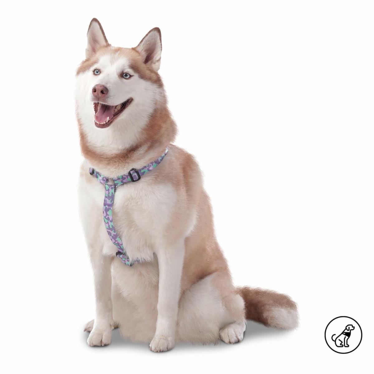 Arnés Para Perro Figgo De Caminata TOTTO PET´S Talla Grande