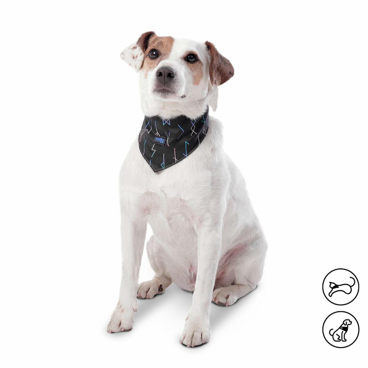 Pañuelo De Mascota Color Menta Doble Faz Reversible TOTTO PET´S Talla Pequeño